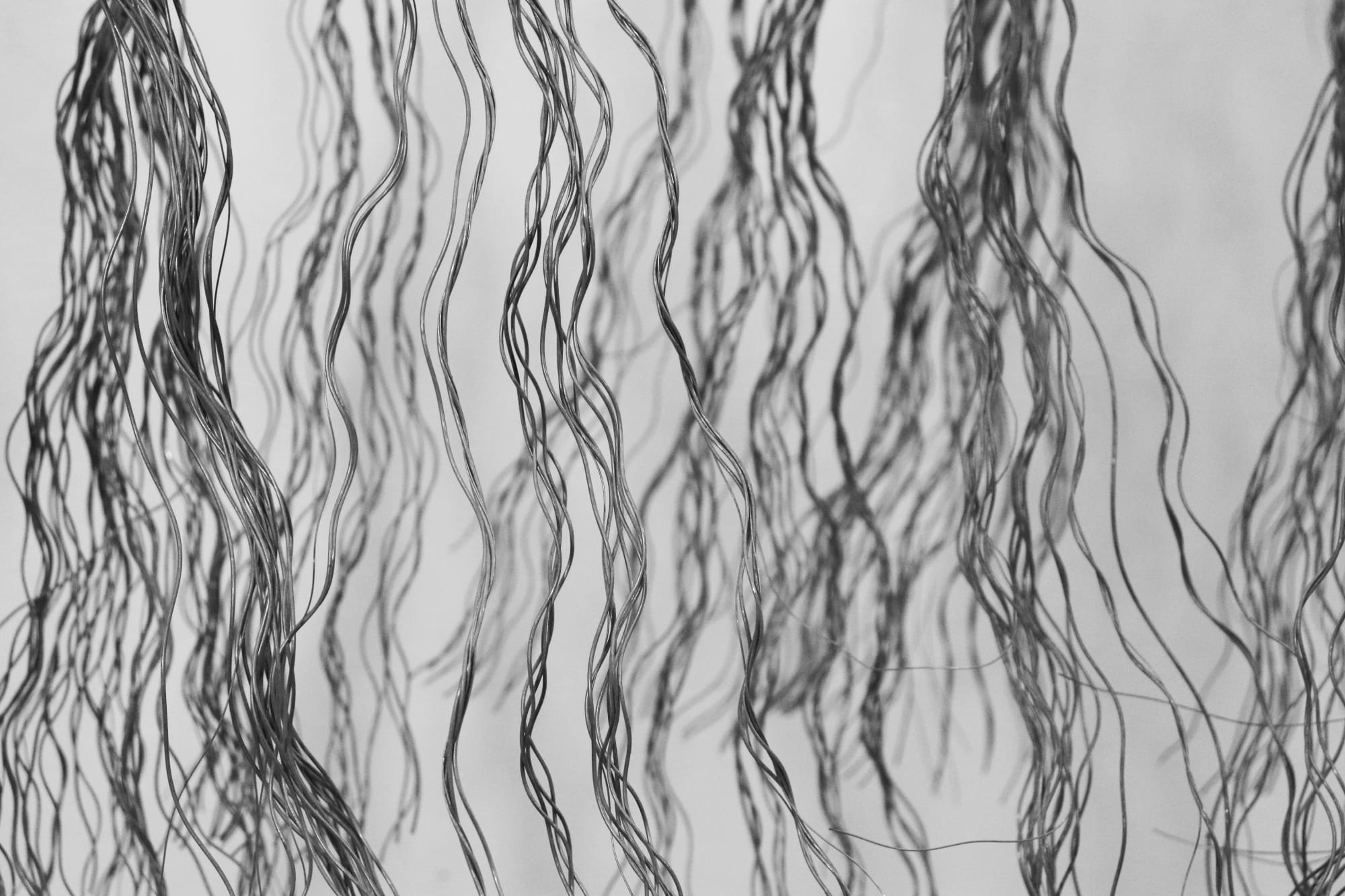 MAREN HASSINGER