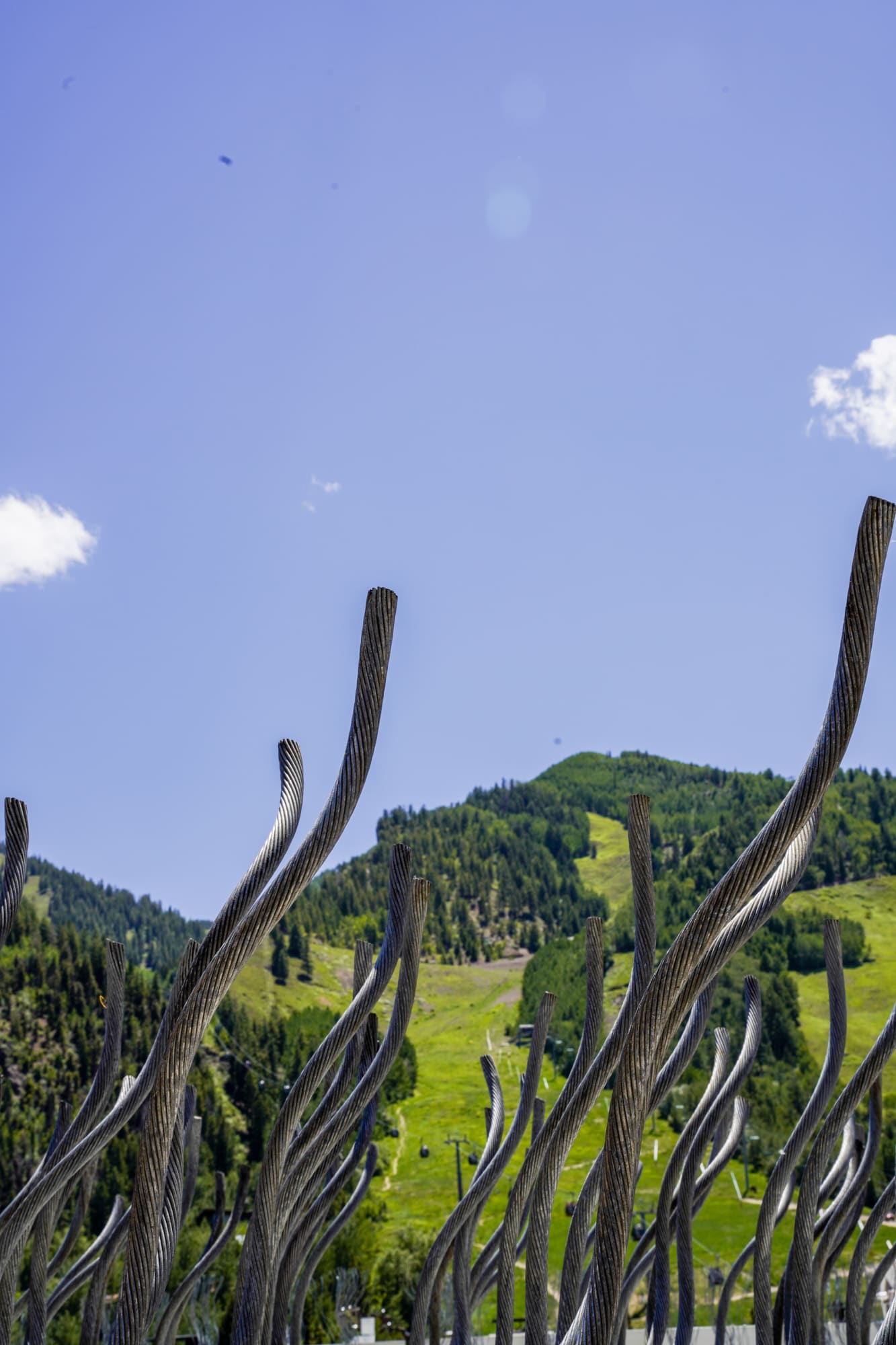 Photo of Maren Hassinger steel rope installation in Aspen, Colorado