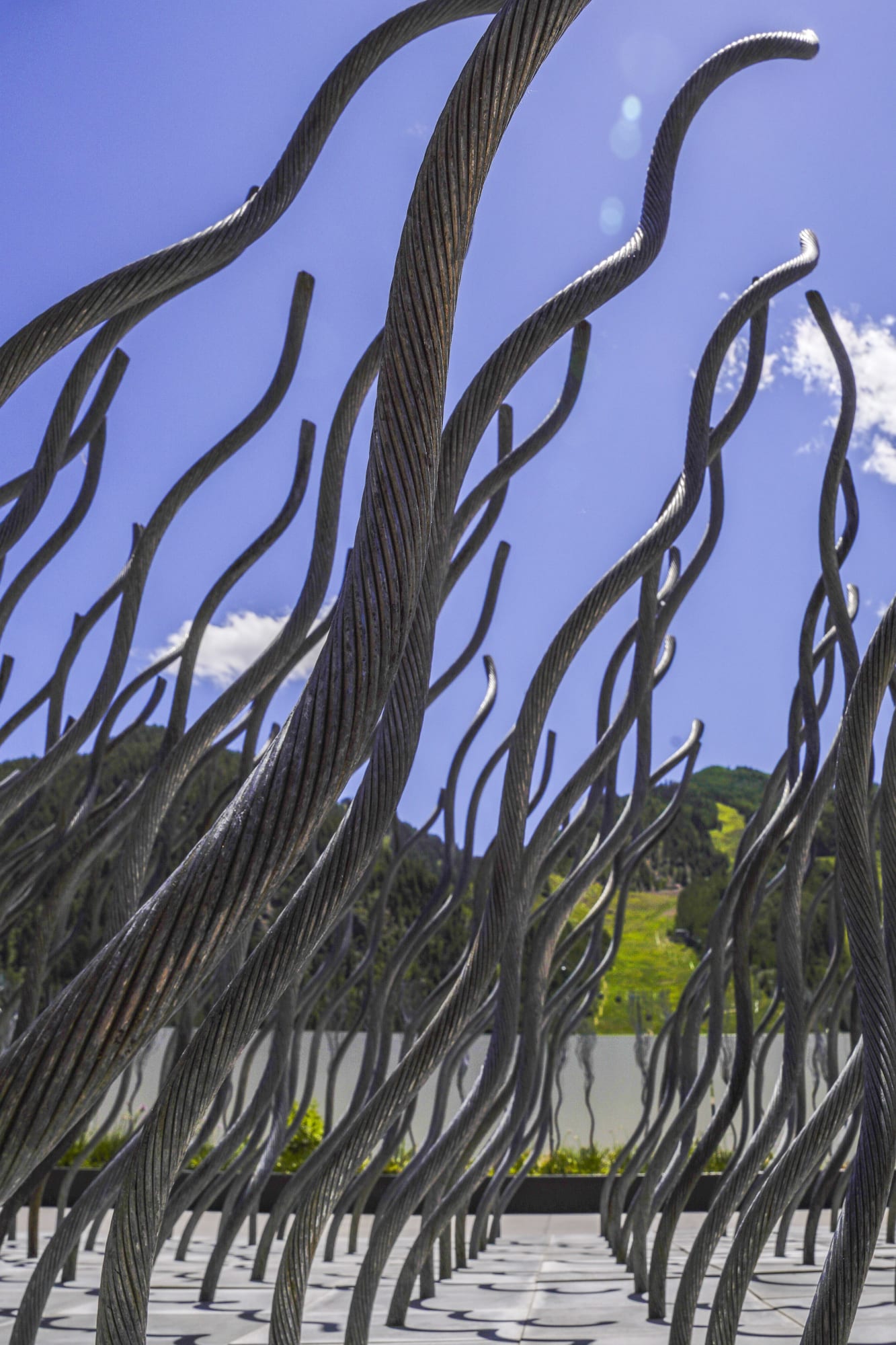 Photo of Maren Hassinger steel rope installation in Aspen, Colorado