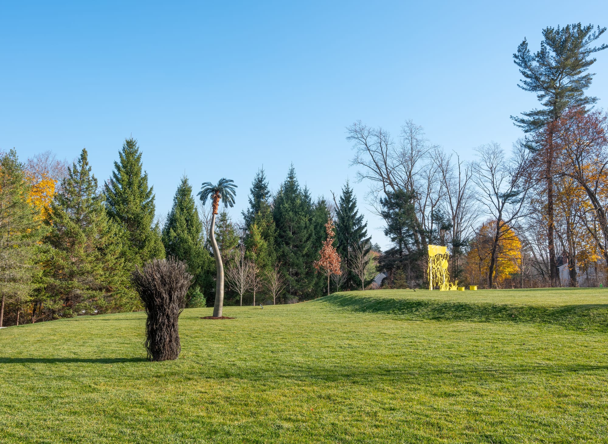 MAREN HASSINGER IN A GARDEN OF PROMISE AND DISSENT