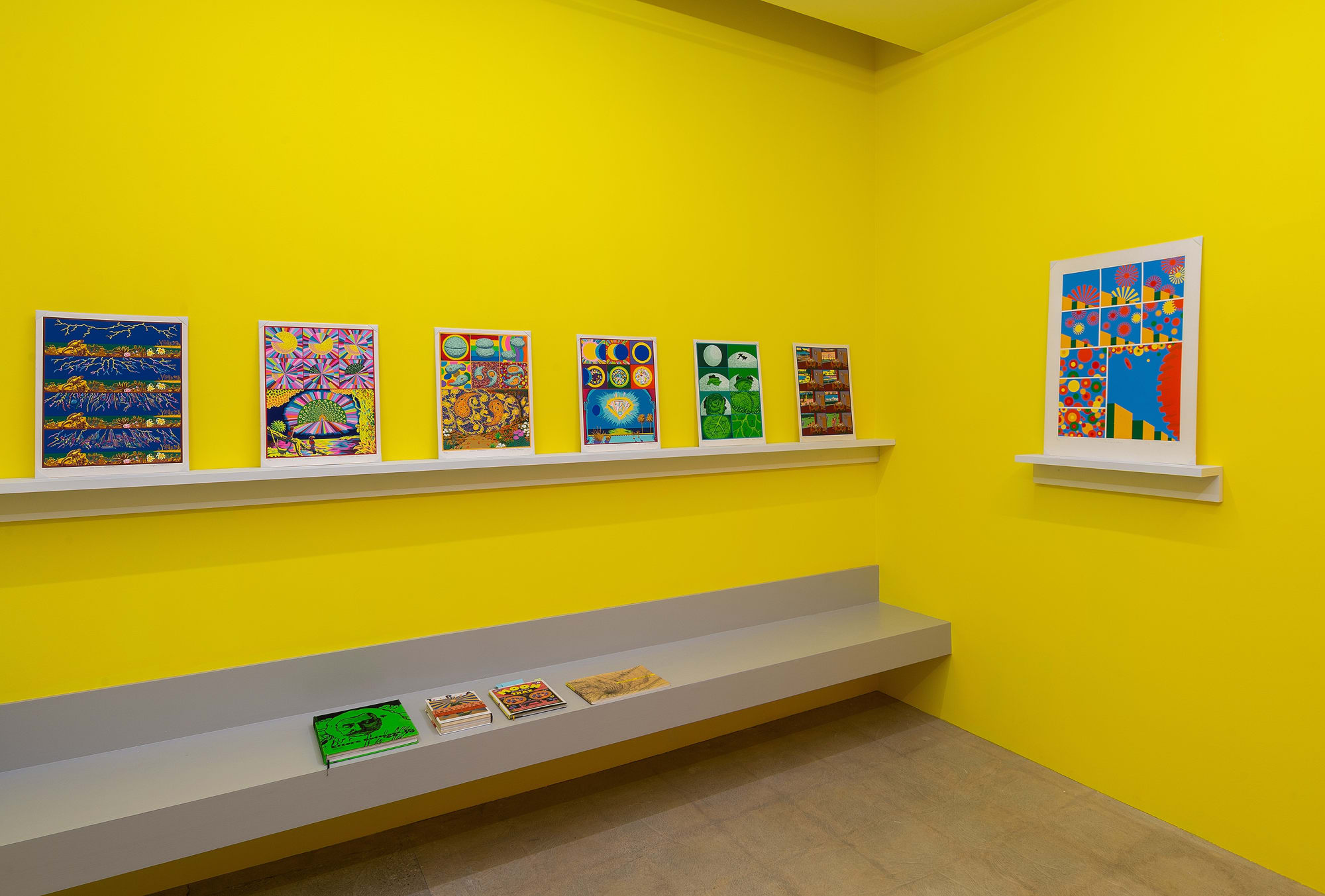 Installation View: Tiger Tateishi