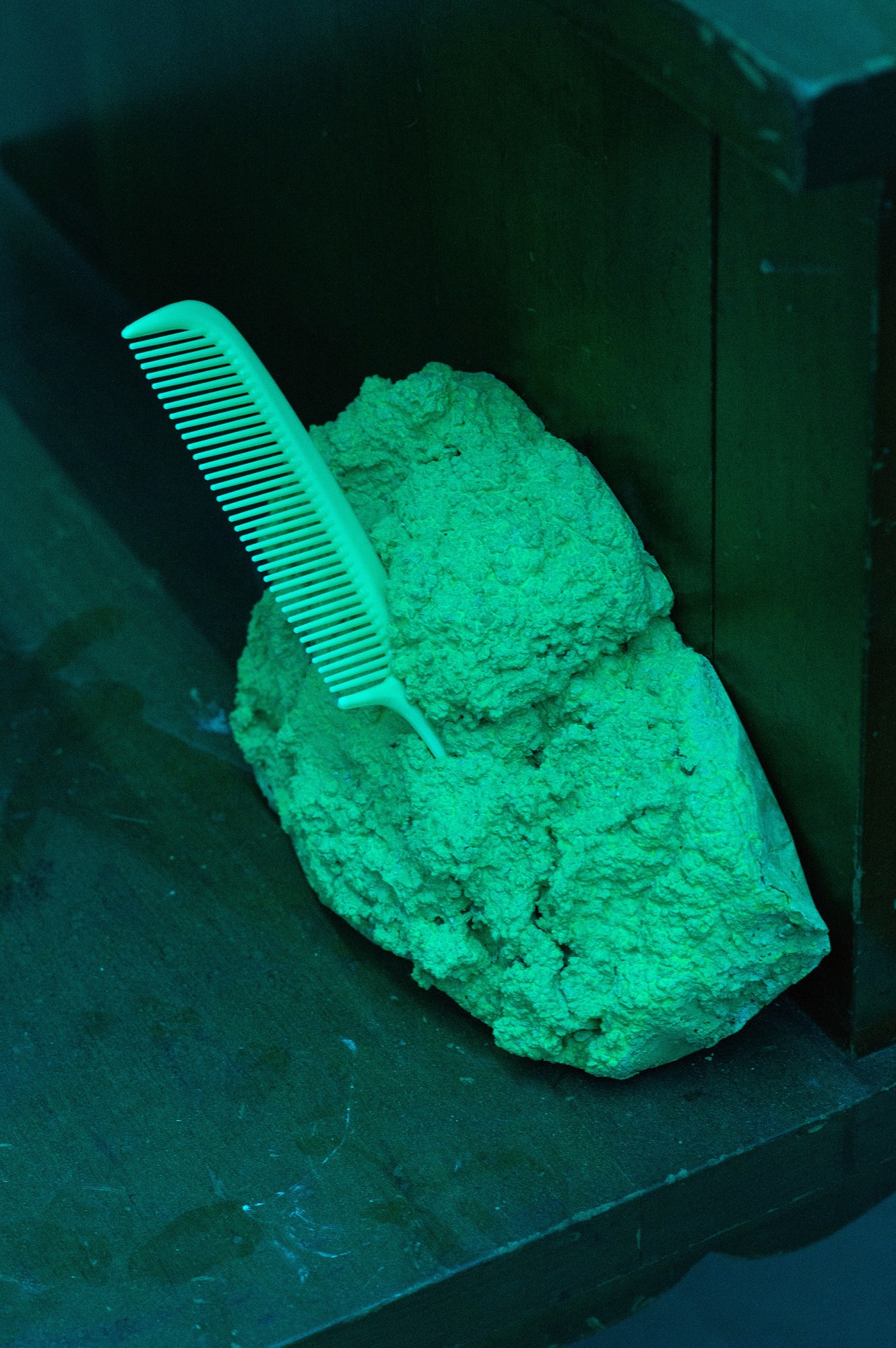 Takuro Tamayama & Tiger Tateishi