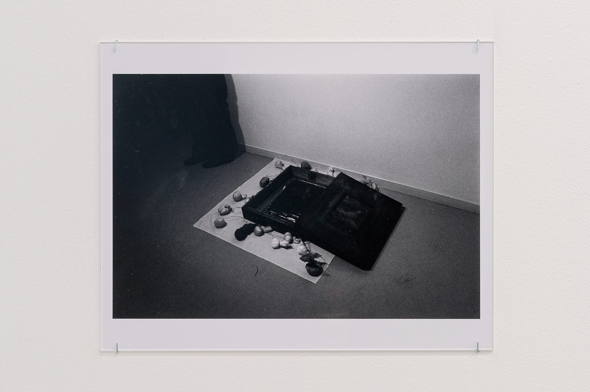 Yutaka Matsuzawa through the lens of Mitsutoshi Hanaga