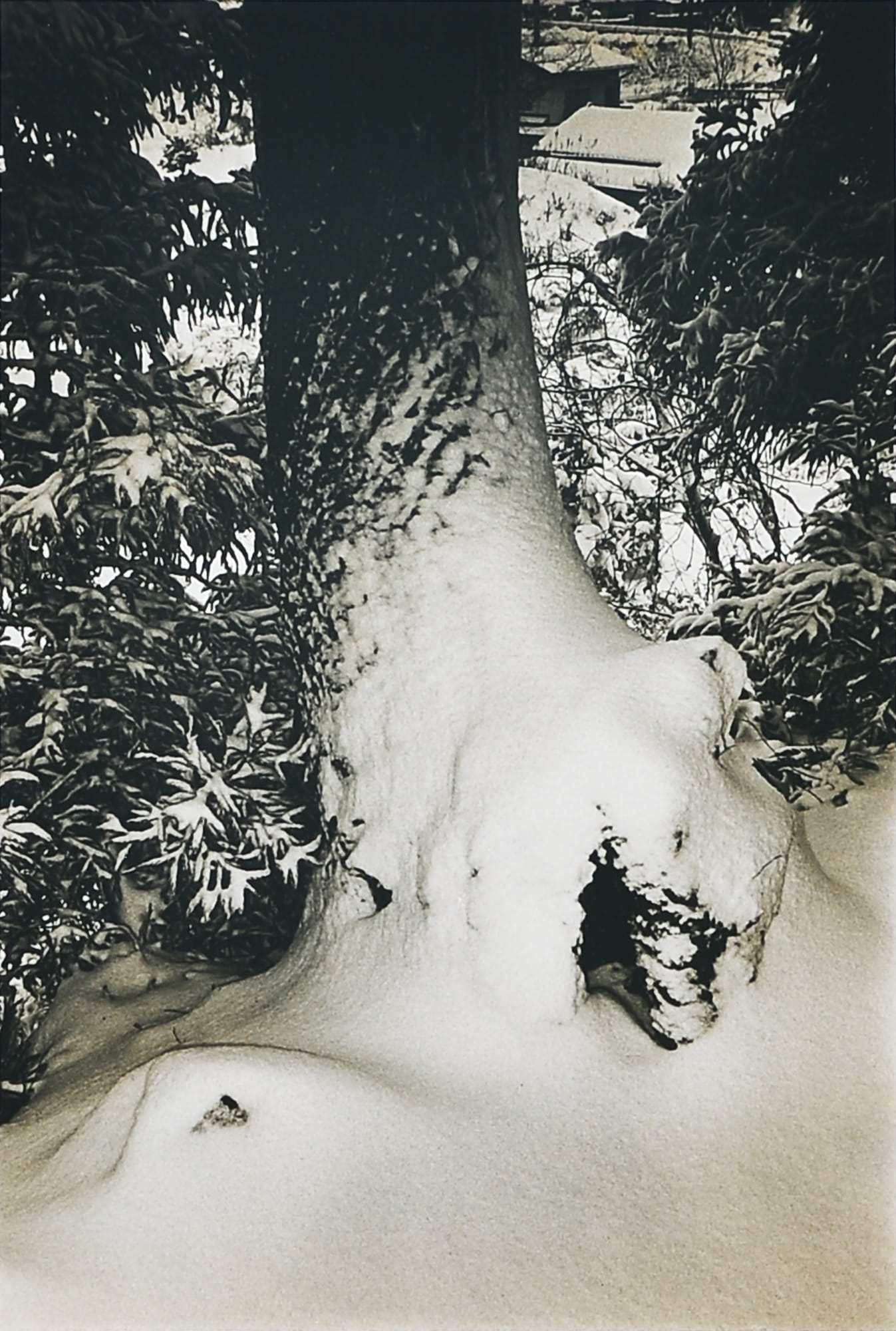 Daido Moriyama, "Snow Minakami Town,Gunma", 1990