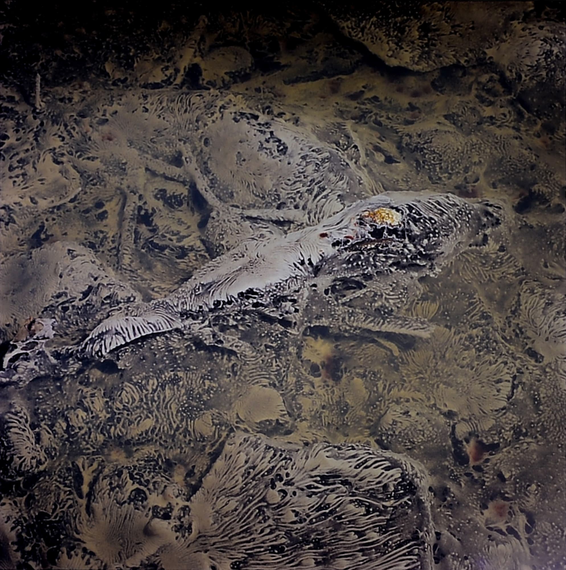 Naoya Hatakeyama, "Underground / Water #6507", 1999