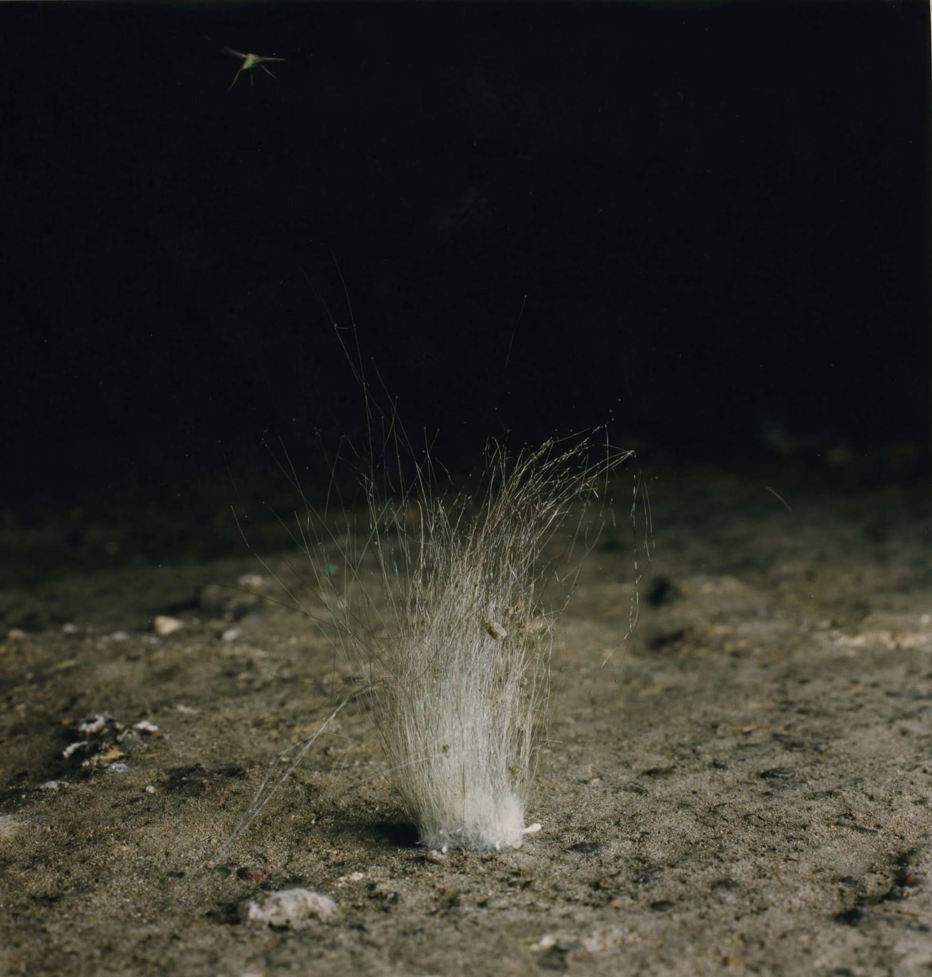 Naoya Hatakeyama, "Underground / Water #1006", 1999