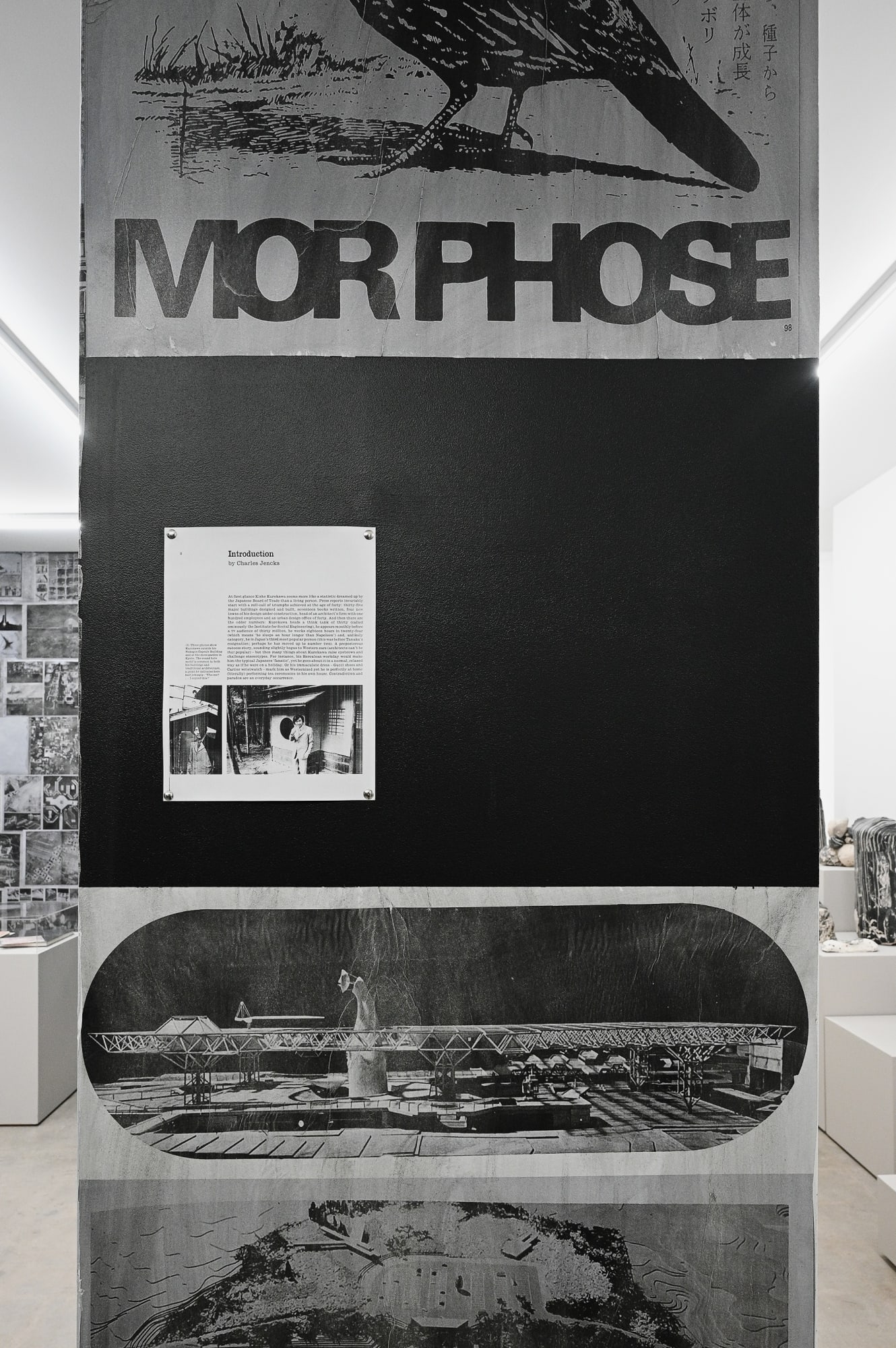 A show about an architectural monograph