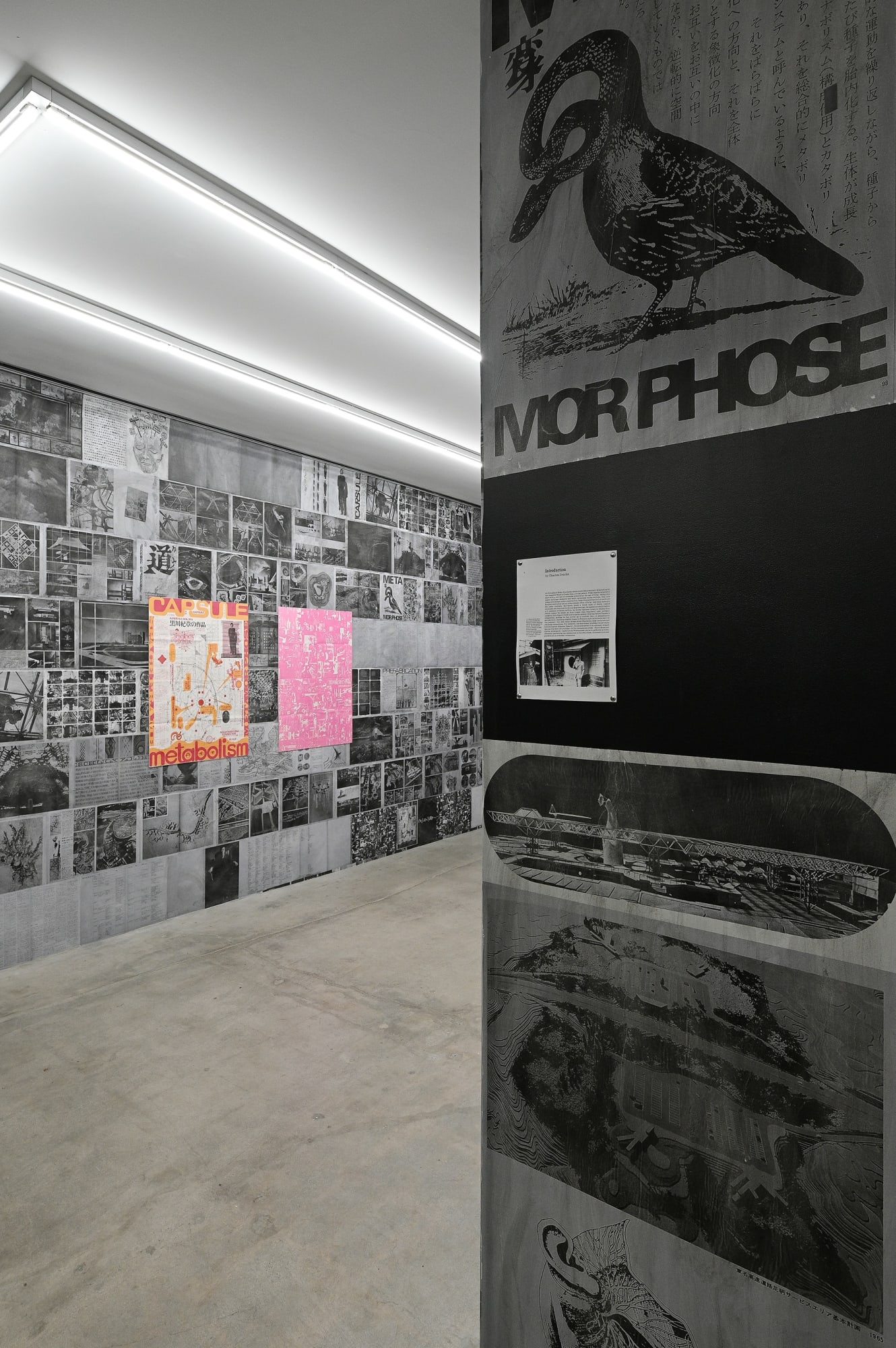 A show about an architectural monograph