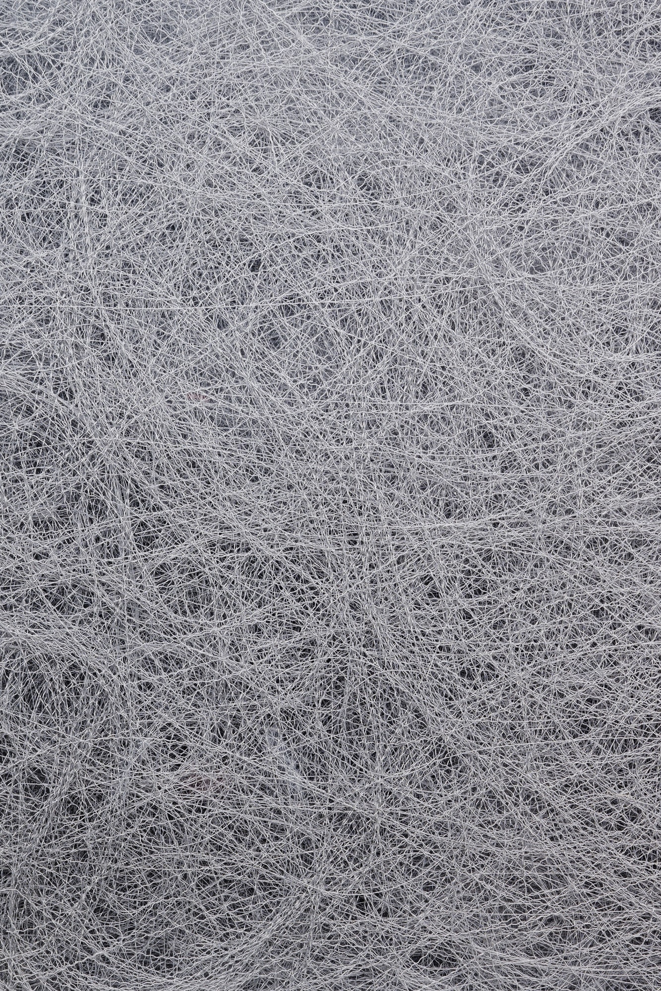 not titled not Untitled