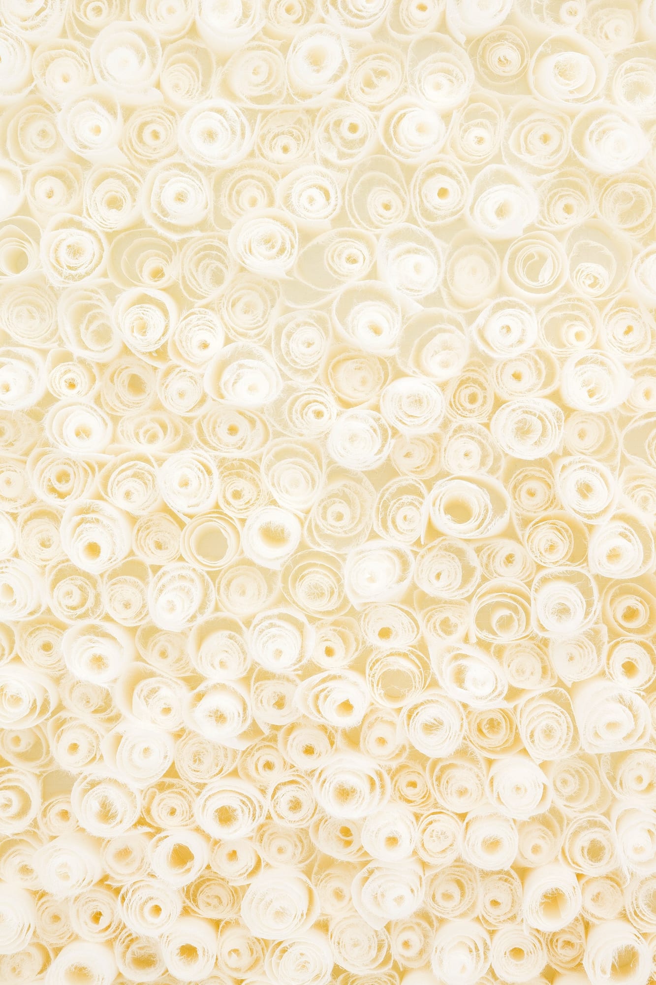 not titled not Untitled