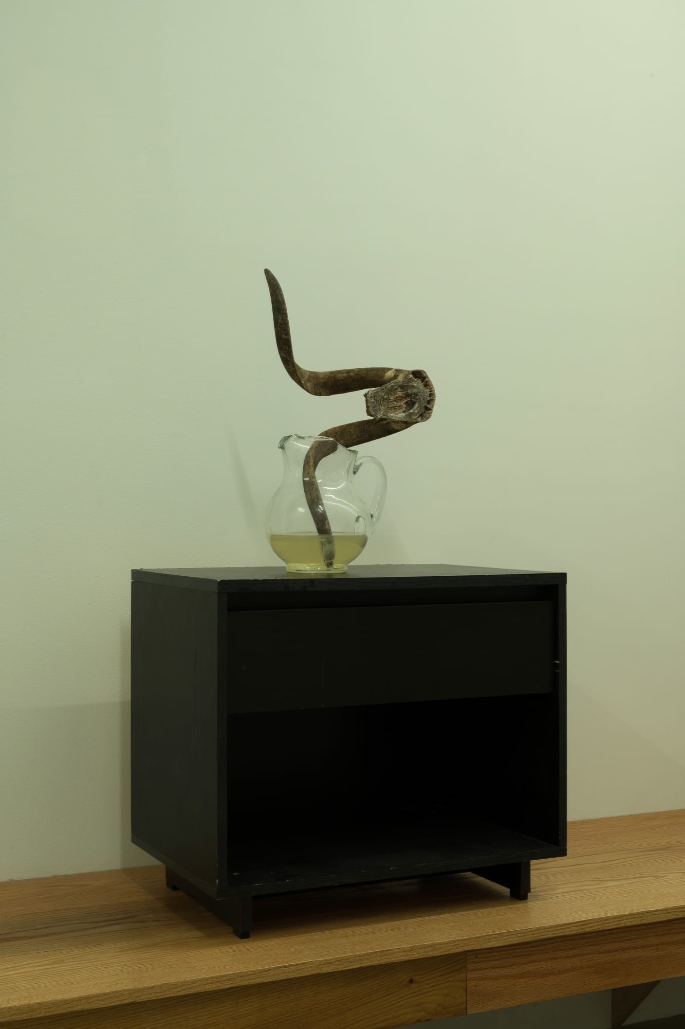 Tatsuo Ikeda / Michael E. Smith