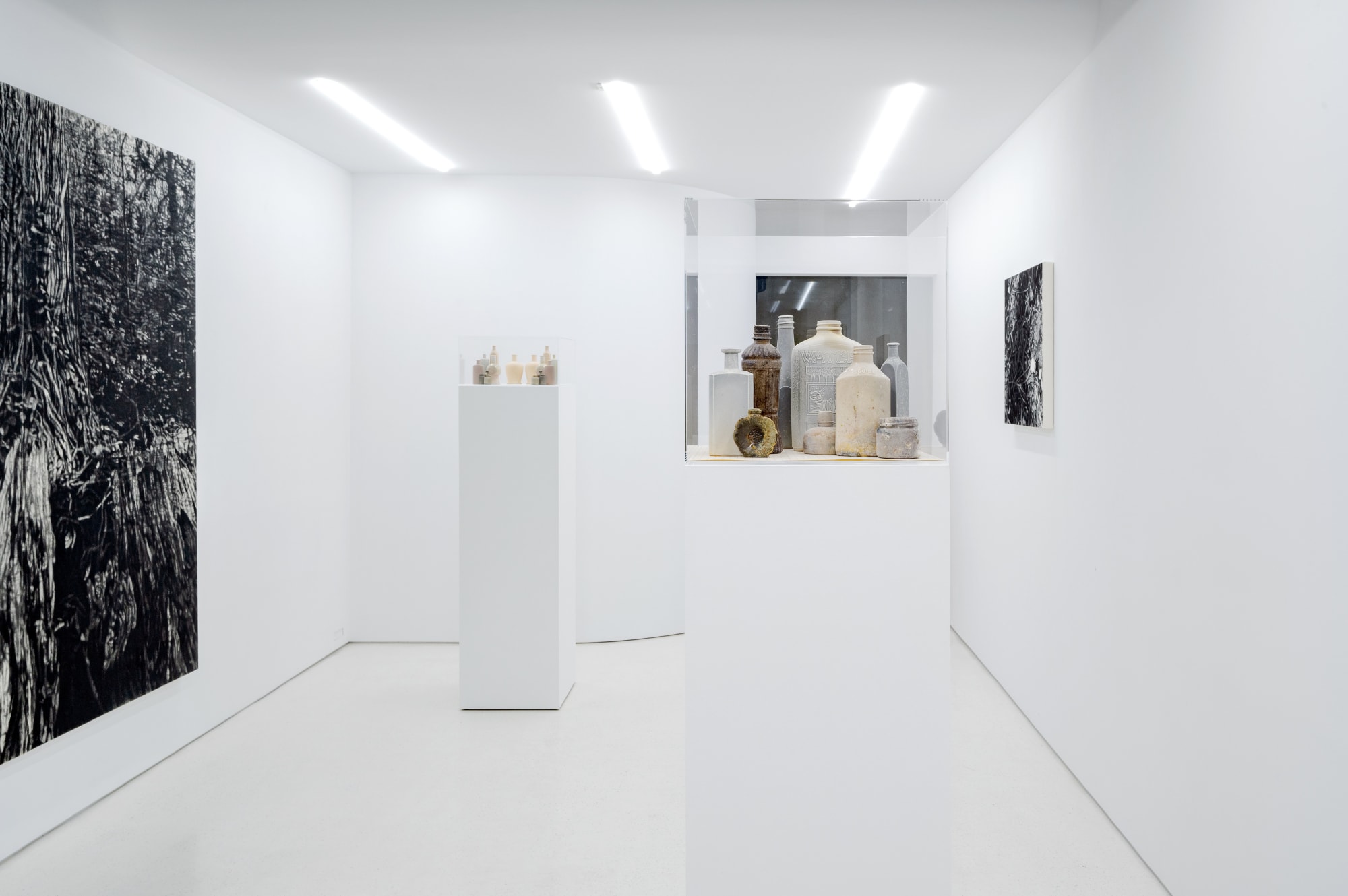 TAKESHI HONDA • TOMOKO OBANA