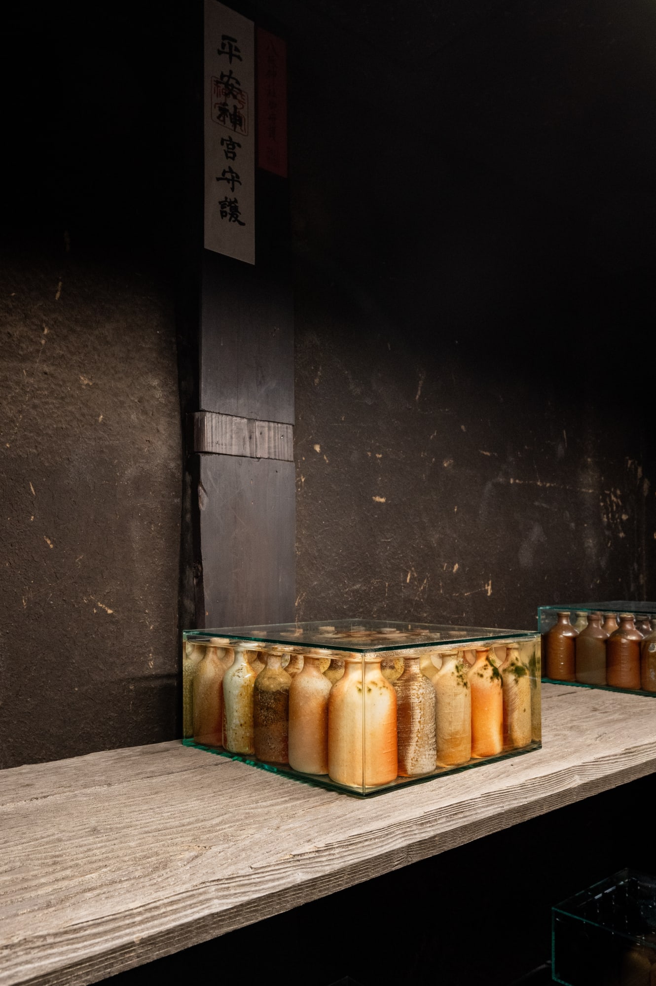 TAKESHI HONDA • TOMOKO OBANA