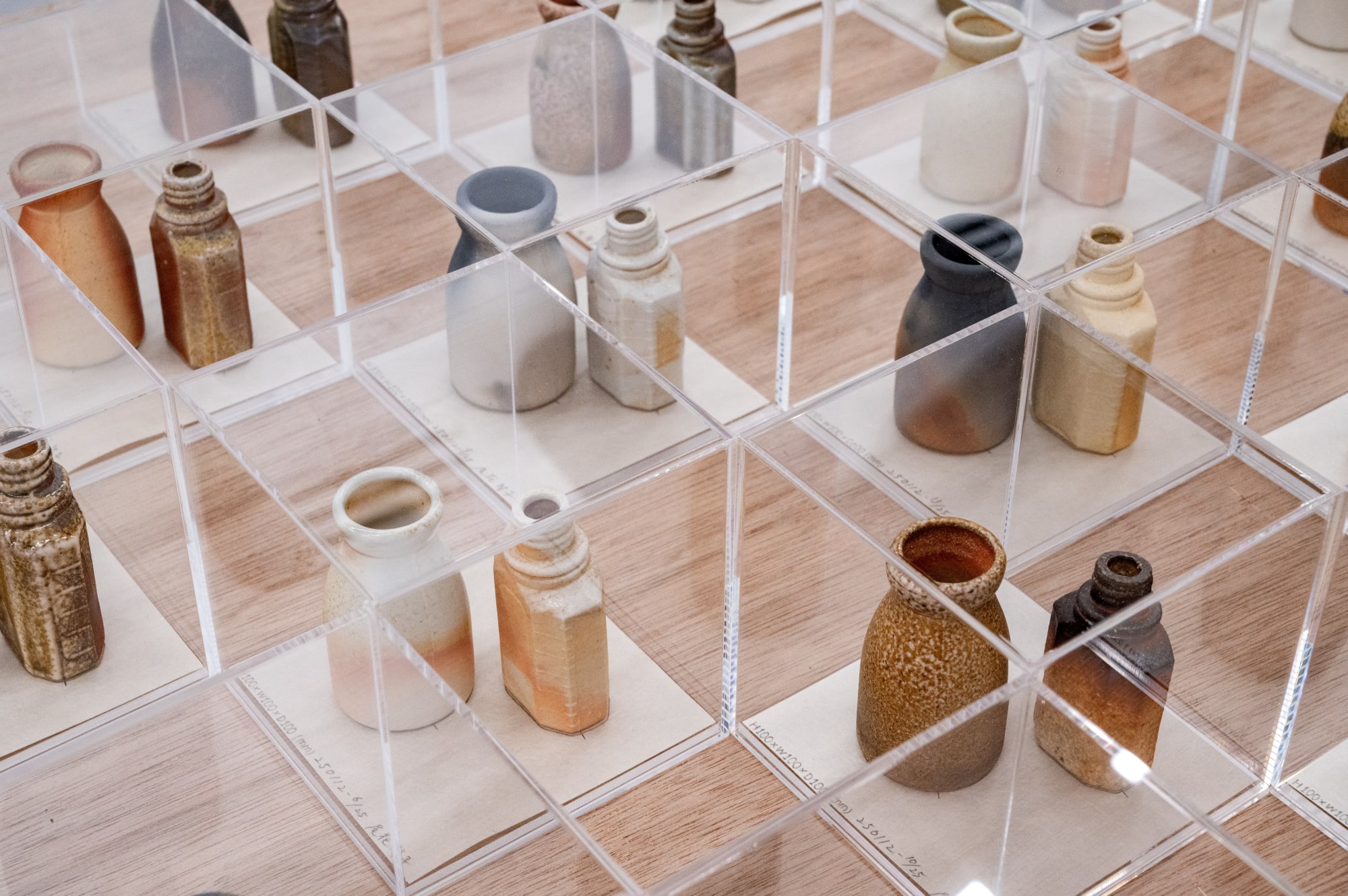 TAKESHI HONDA • TOMOKO OBANA