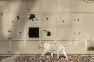 Lucinda Bunnen a spring walk in my woods photography pigment print