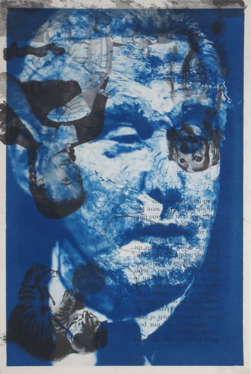 brian novatny political art cyanotype