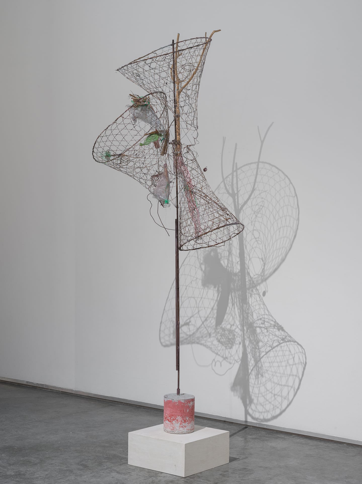 Photograph by Altamash Urooj