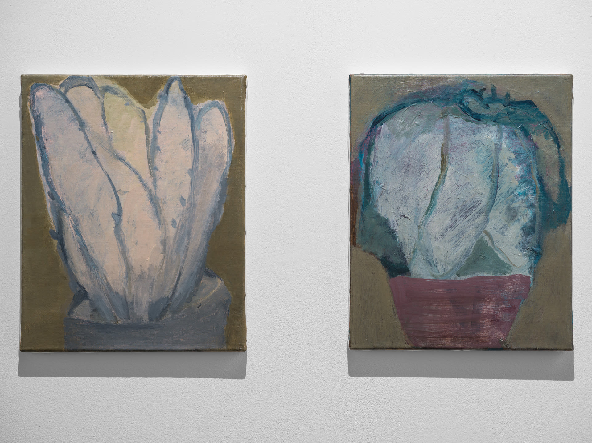 Photograph by Altamash Urooj