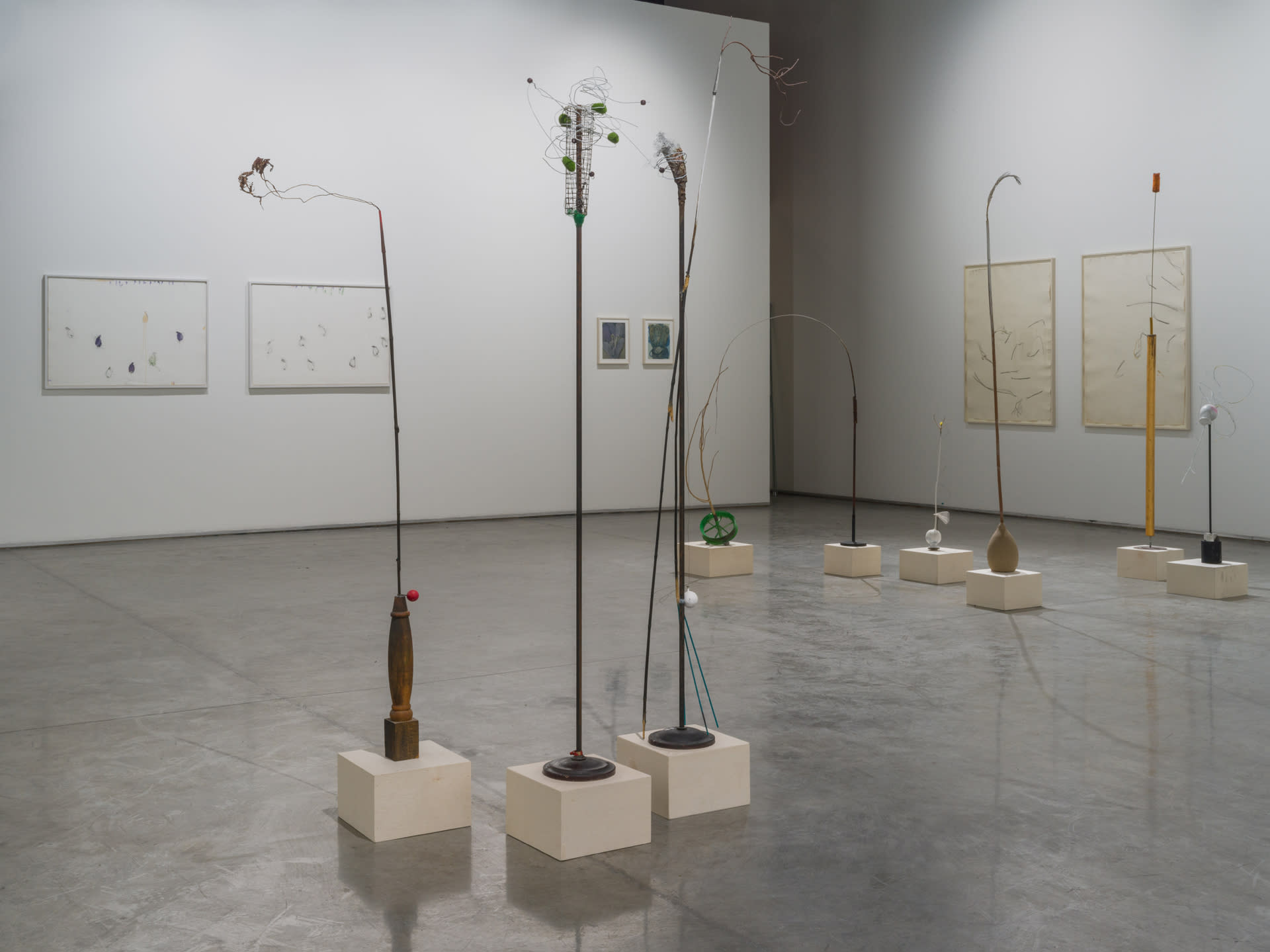 Photograph by Altamash Urooj