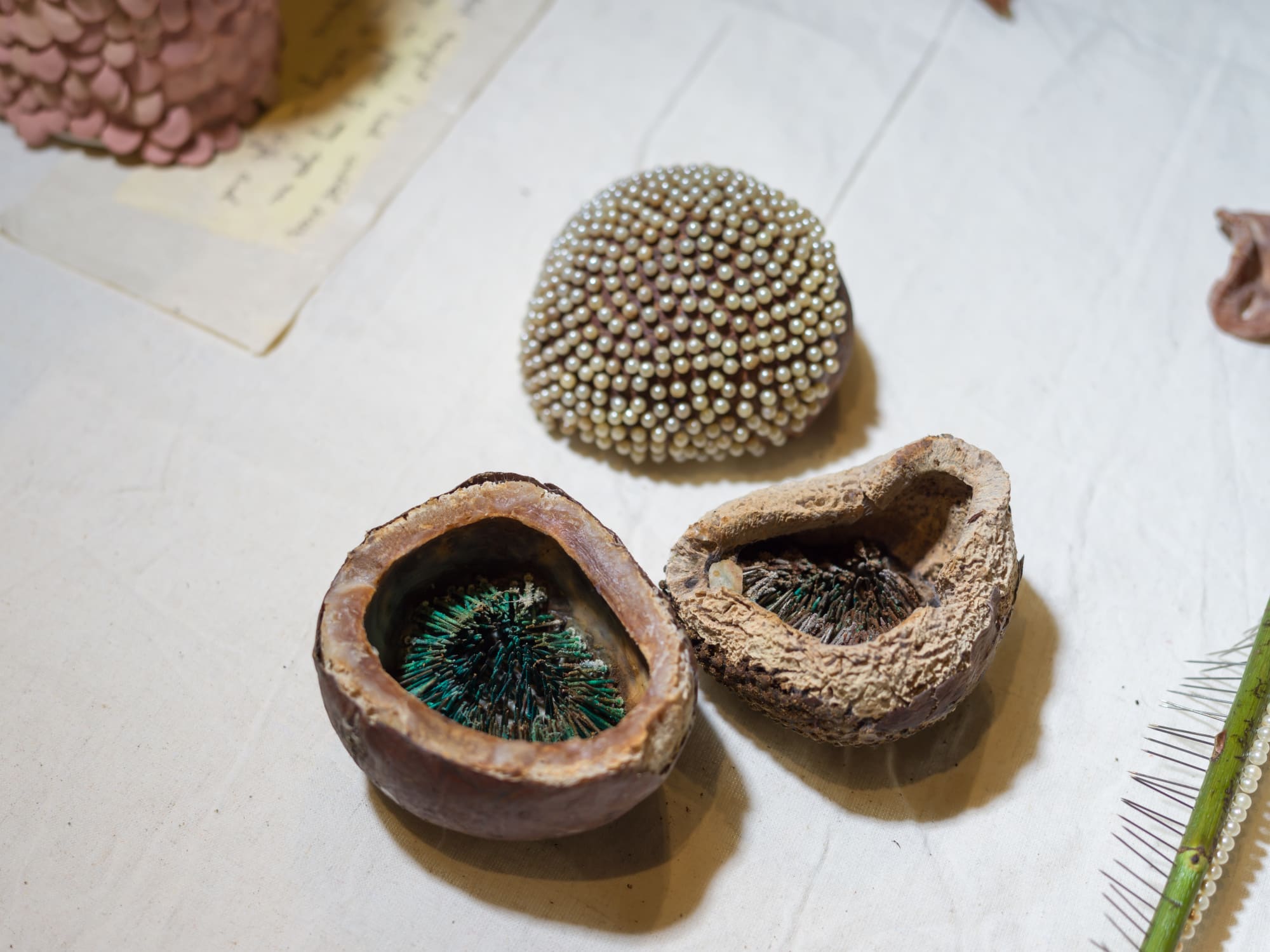 Assemblage Bed One (2014-2024)