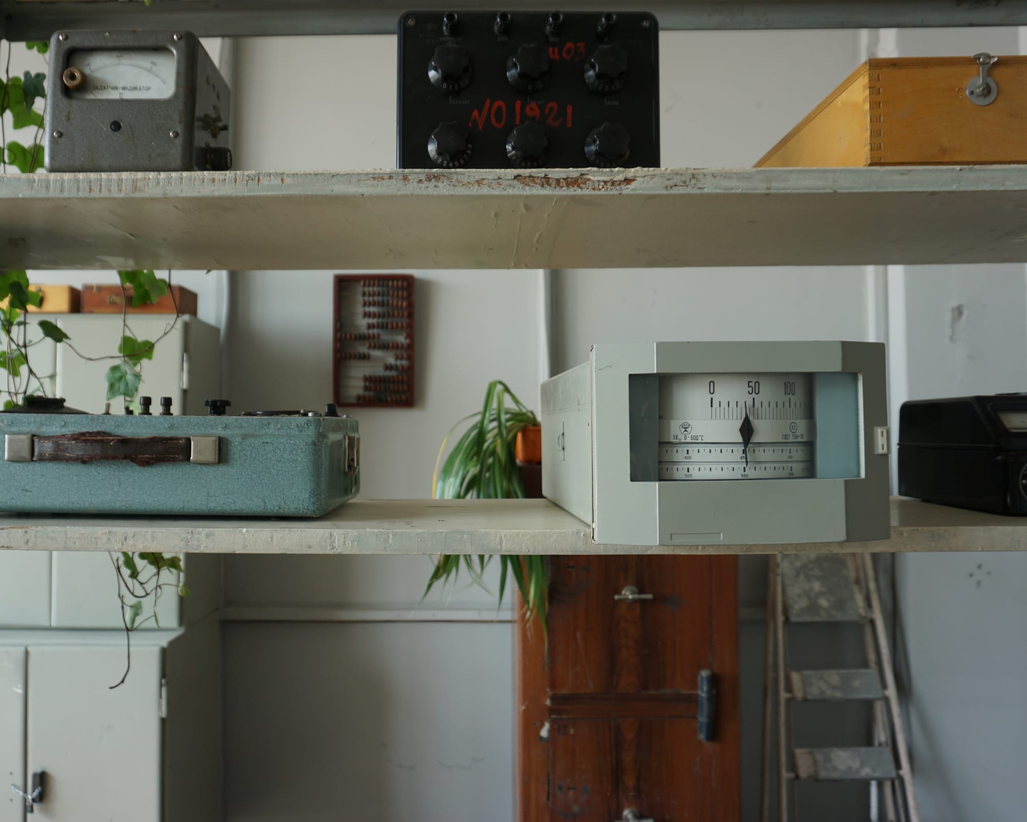 5th Ural Industrial Biennial of Contemporary Art, Main Project, Immortality, curated by Xiaoyu Weng, 12 September – 1 December 2019