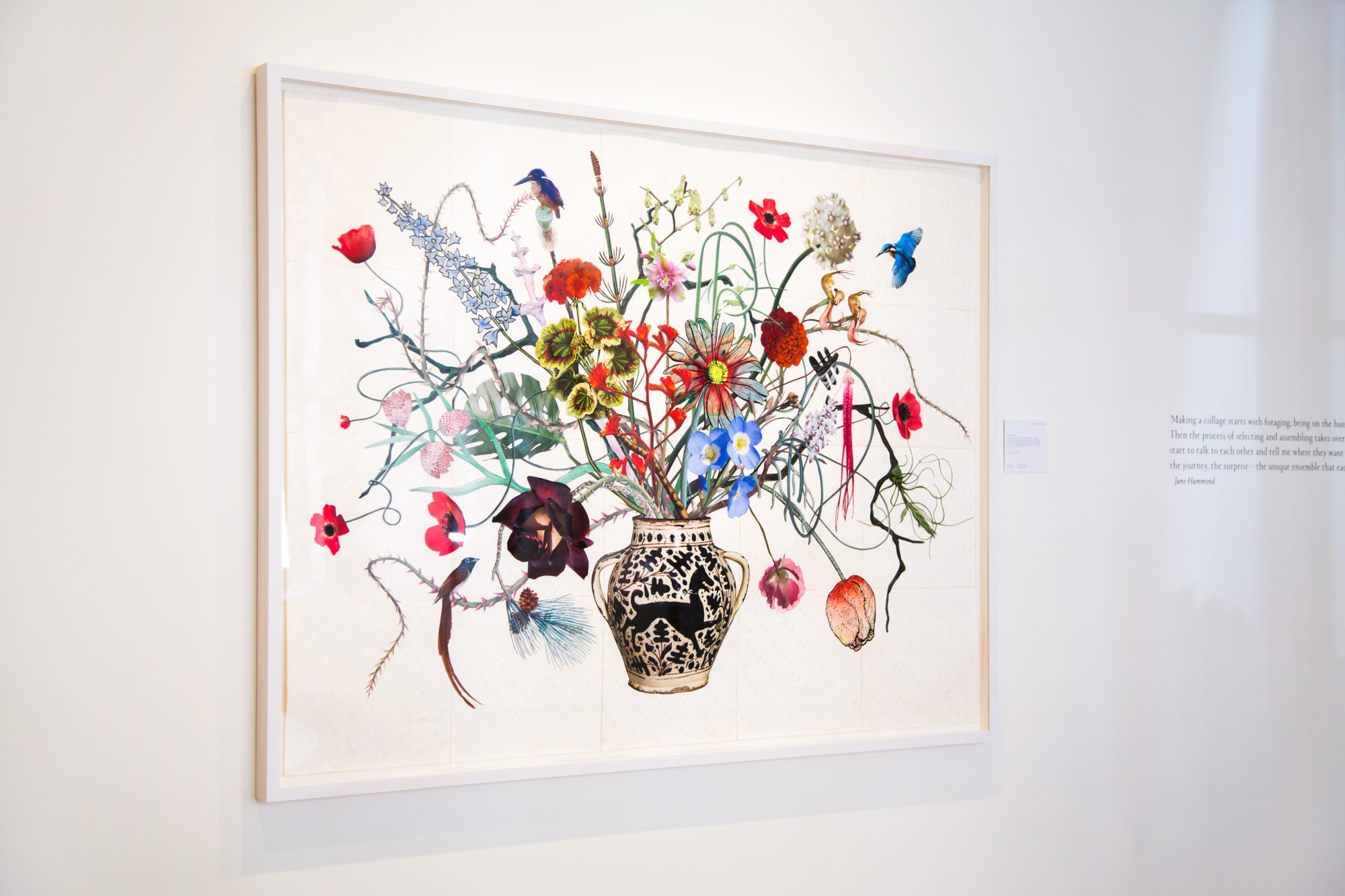 Natural Selection: New Botanical Collages