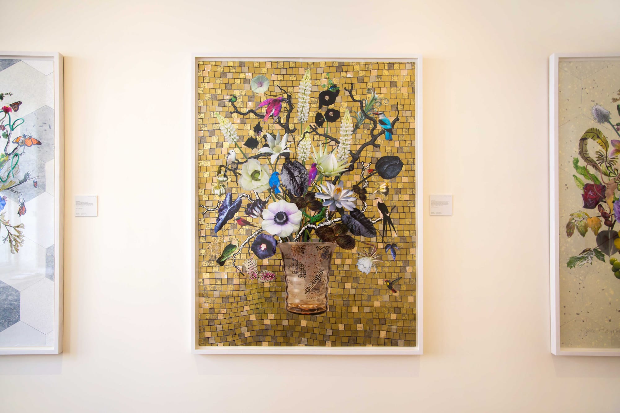 Natural Selection: New Botanical Collages