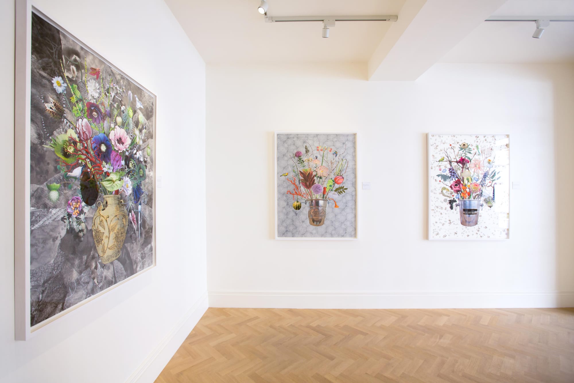 Natural Selection: New Botanical Collages