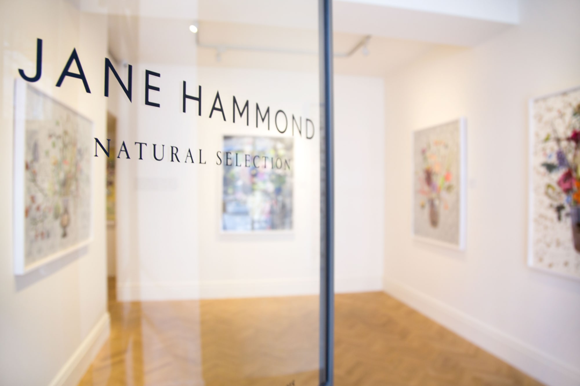 Natural Selection: New Botanical Collages