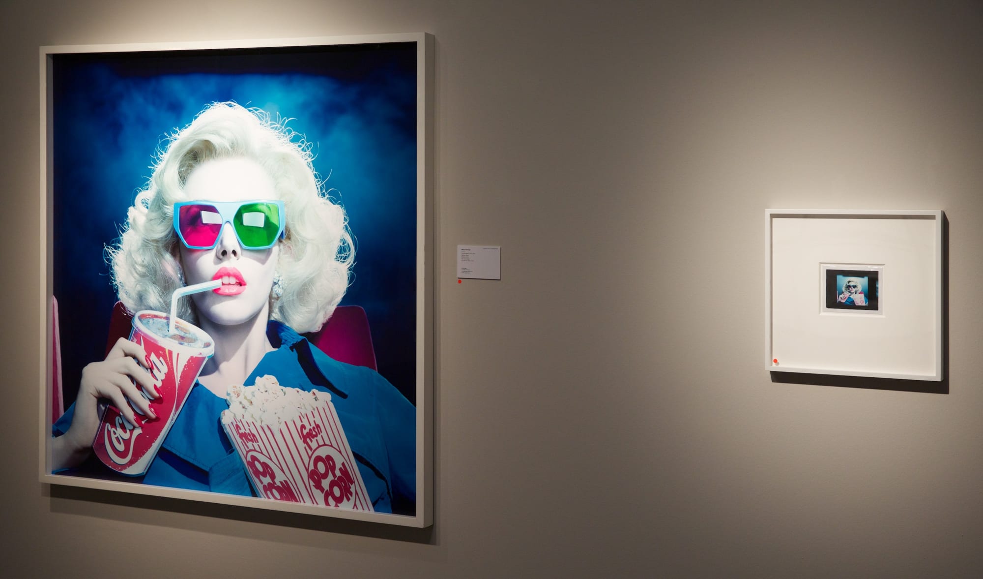 Please Return Polaroid, 2016