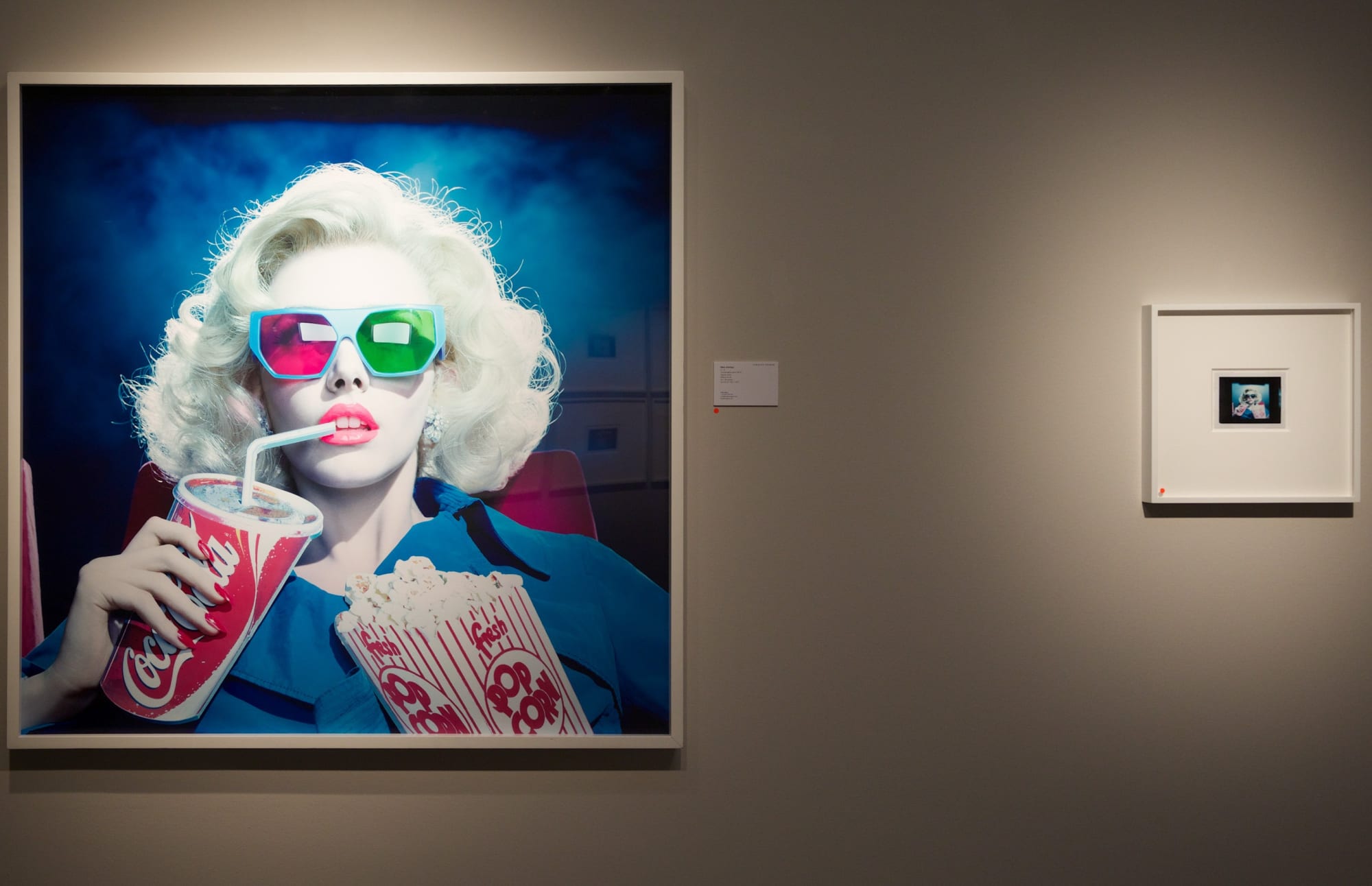 Please Return Polaroid, 2016