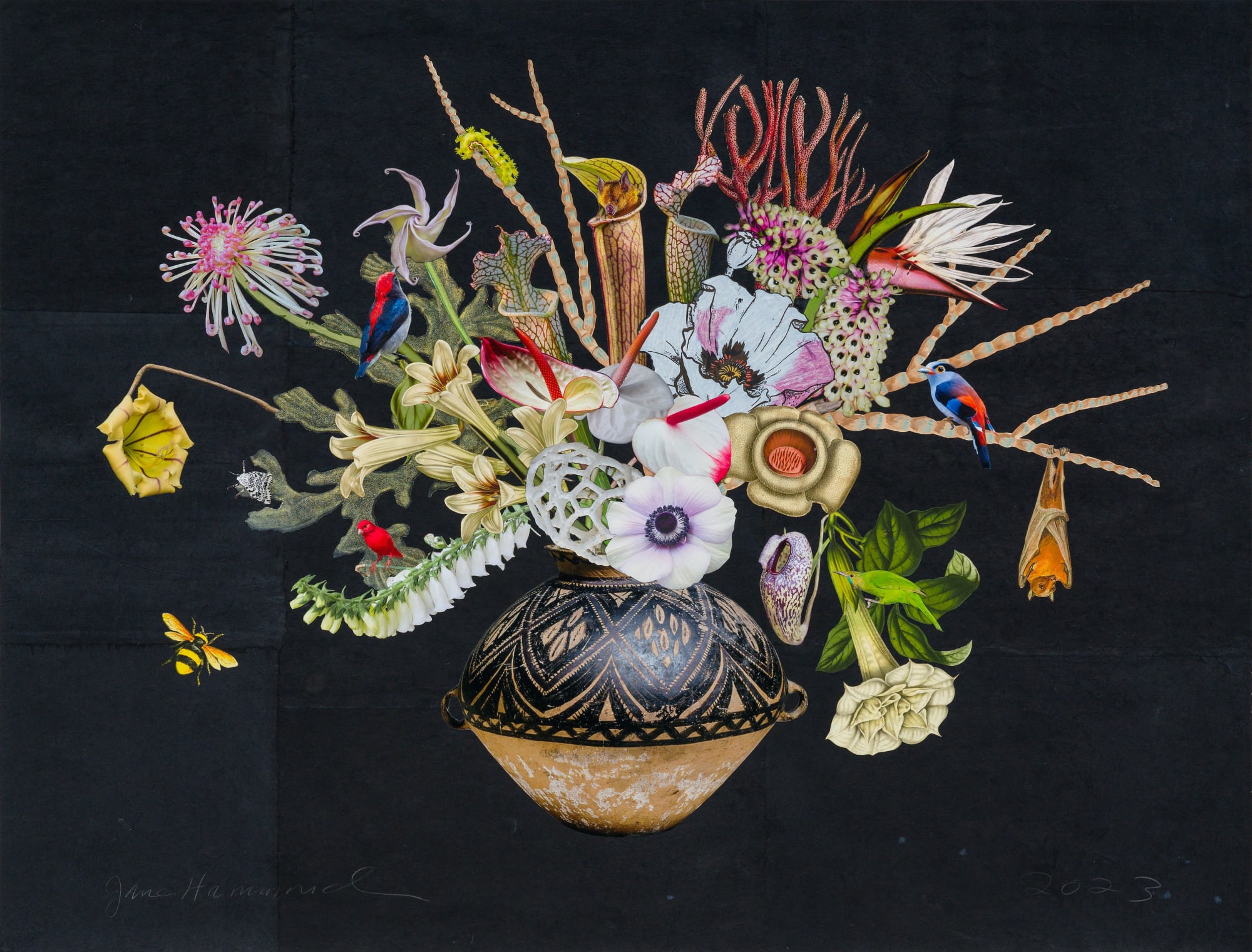 Chinese Neolithic Jar with Scarlet-Backed Flower Pecker, Pitcher Plans and Datura, 2023 Unique botanical collage using relief printing, digital printing, coloured pencil, Sumi ink, watercolour and gouache, hand cut and assembled on collaged Nepali papers over cotton rag. Signed in pencil. 96.5 x 127 cm (38 x 50 in)