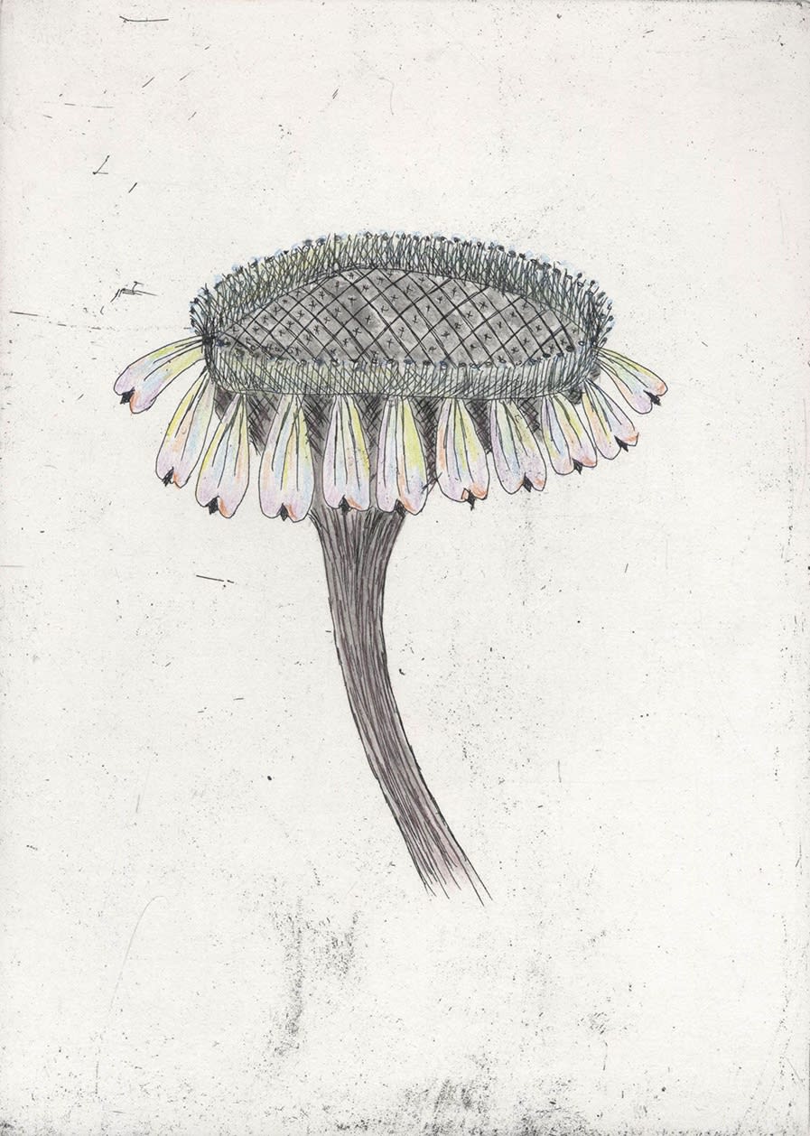 Kiki Smith Untitled (from Escapades), 2011 Etching with hand-colouring. Signed in pencil and numbered 17 from the edition of 18, with 5 artist's proofs. 38.1 x 27.94 cm (15 x 11 in)