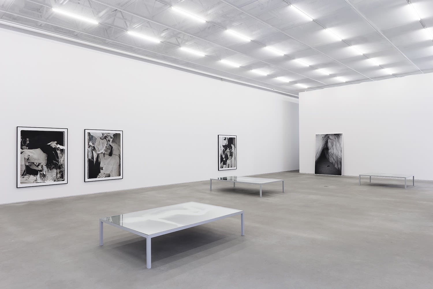 Marcia Xavier: Geologia Doméstica