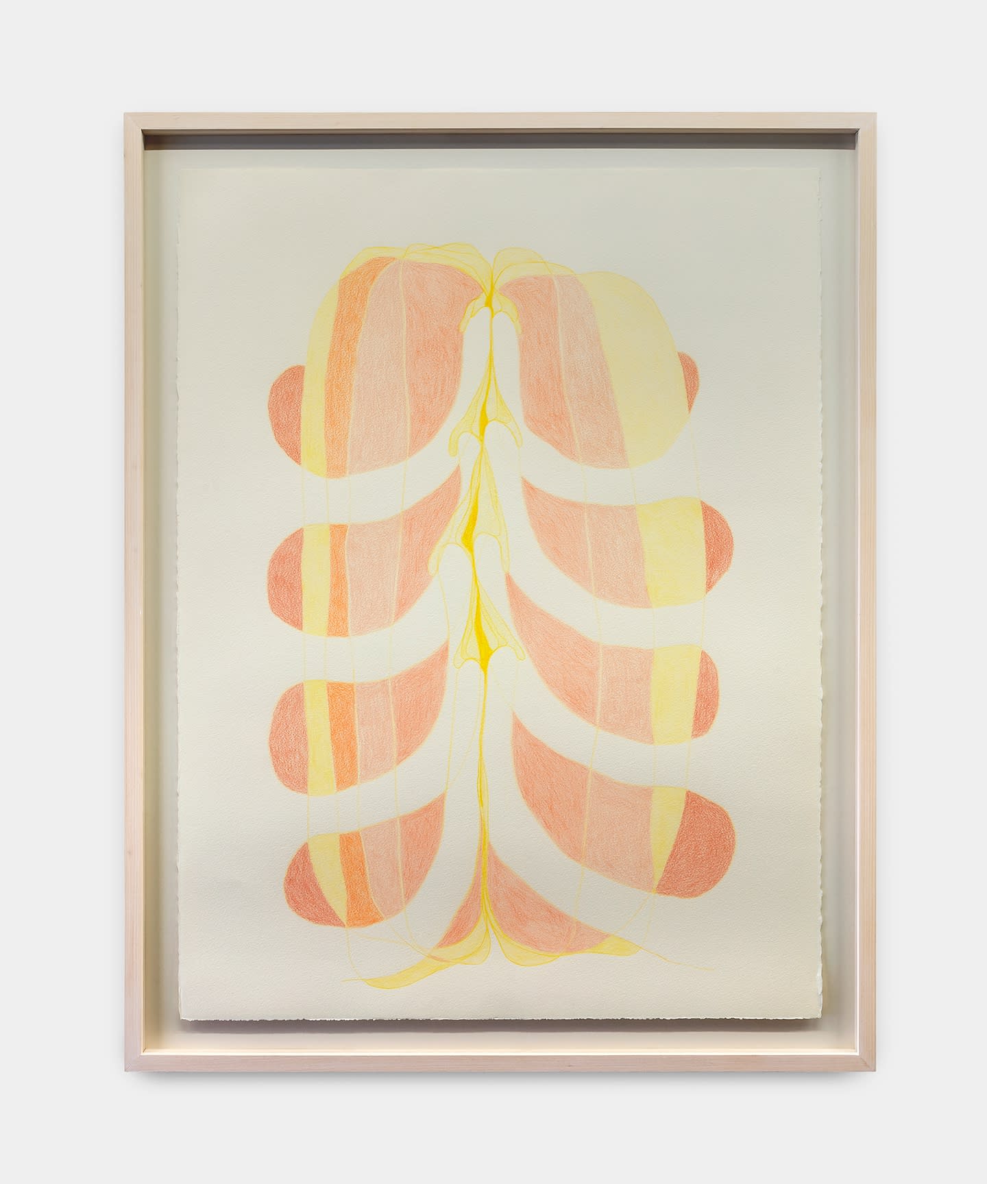 Juliana Cerqueira Leite, Ficções Anatômicas [Anatomical Fictions] 02, 2020