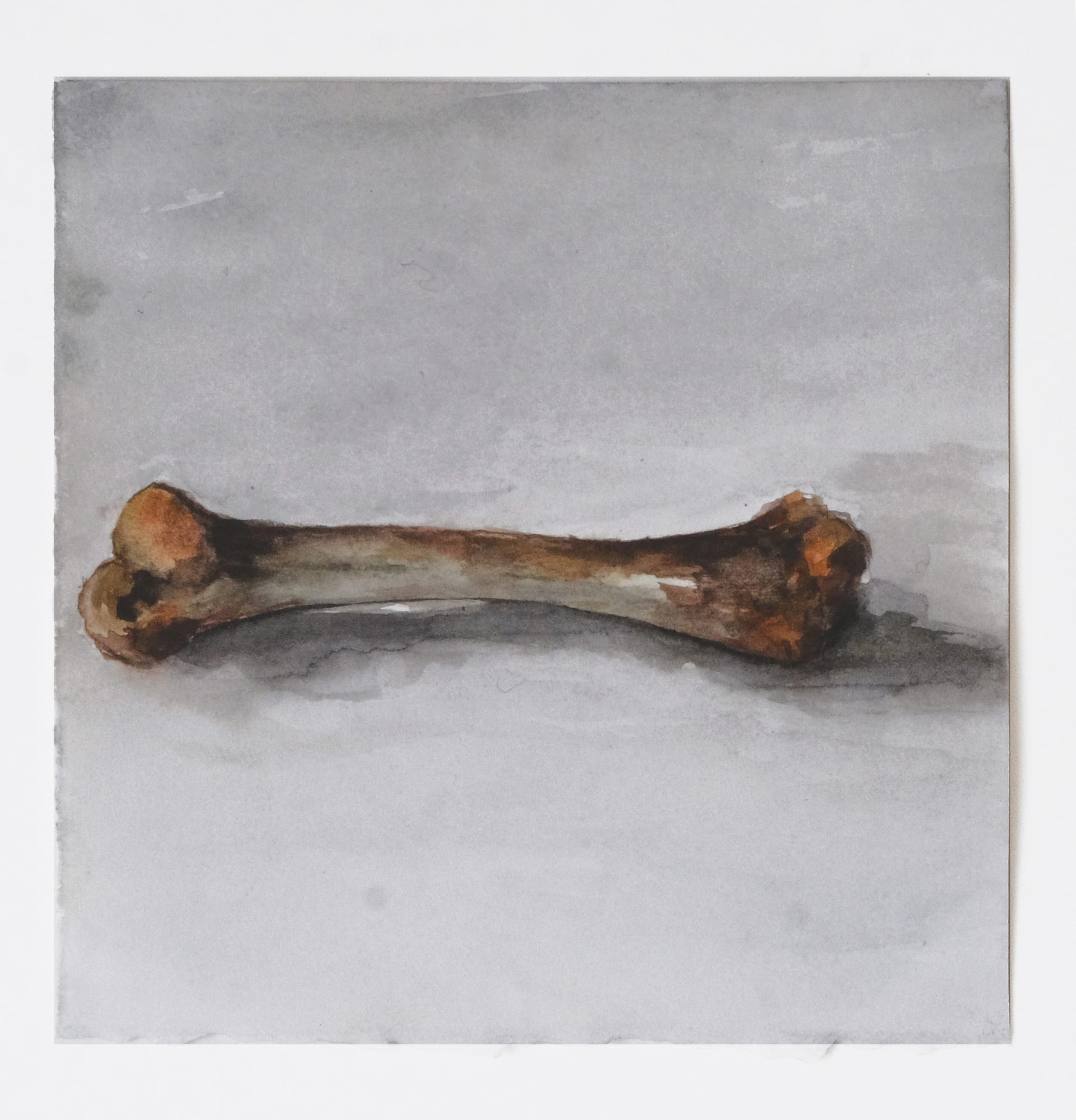 Eduardo Berliner, Osso, 2021