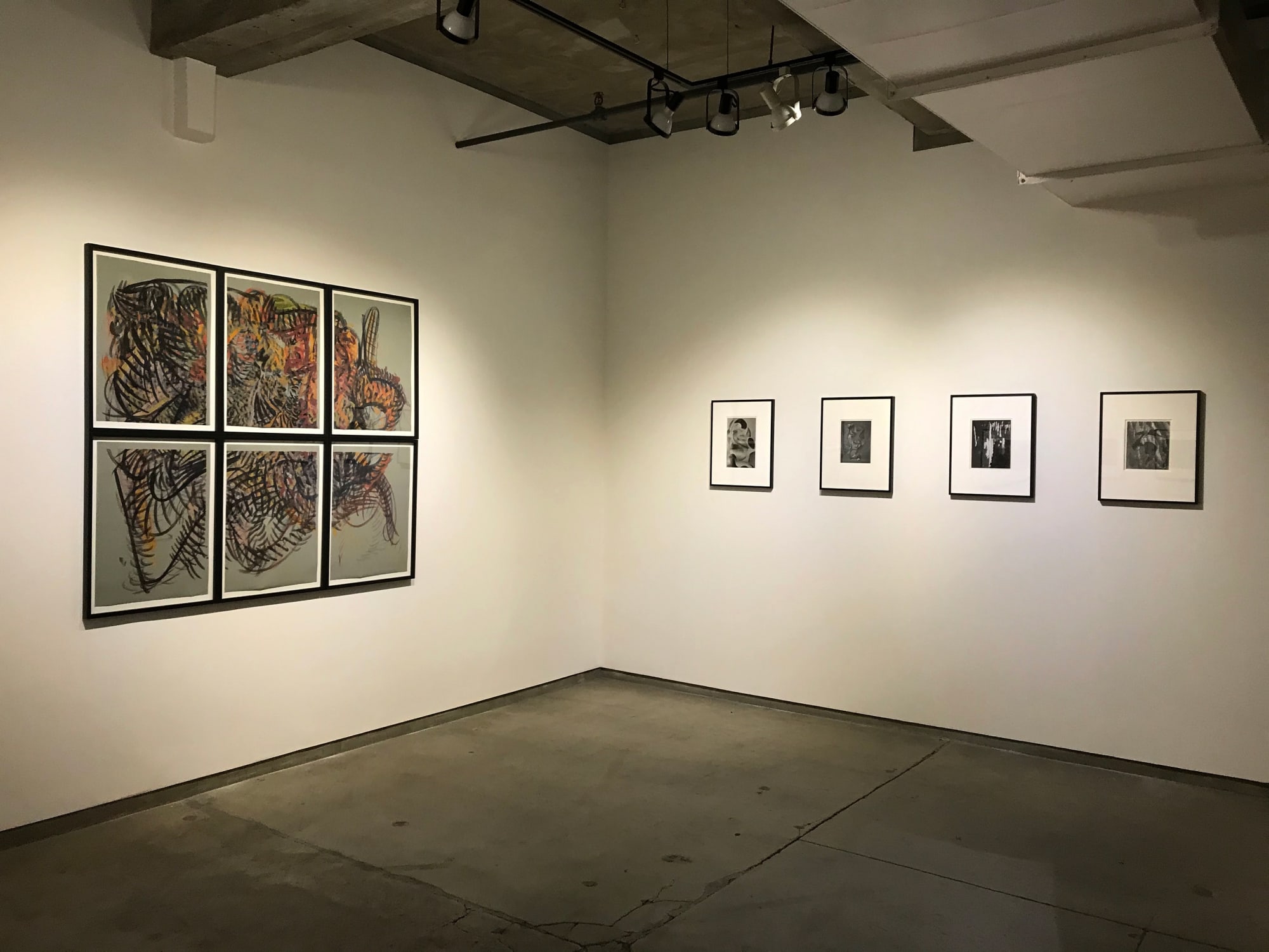 Frederick Sommer: Visual Affinities