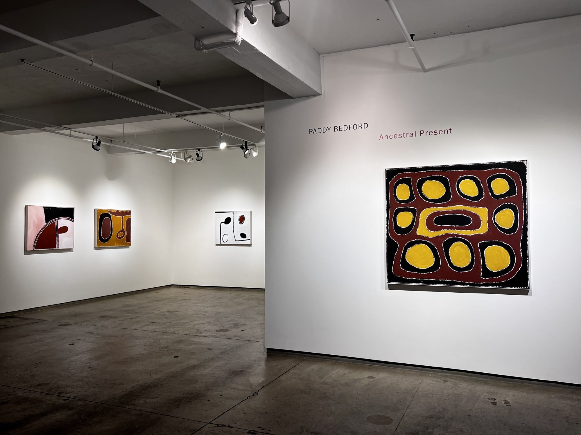 Paddy Bedford: Ancestral Present