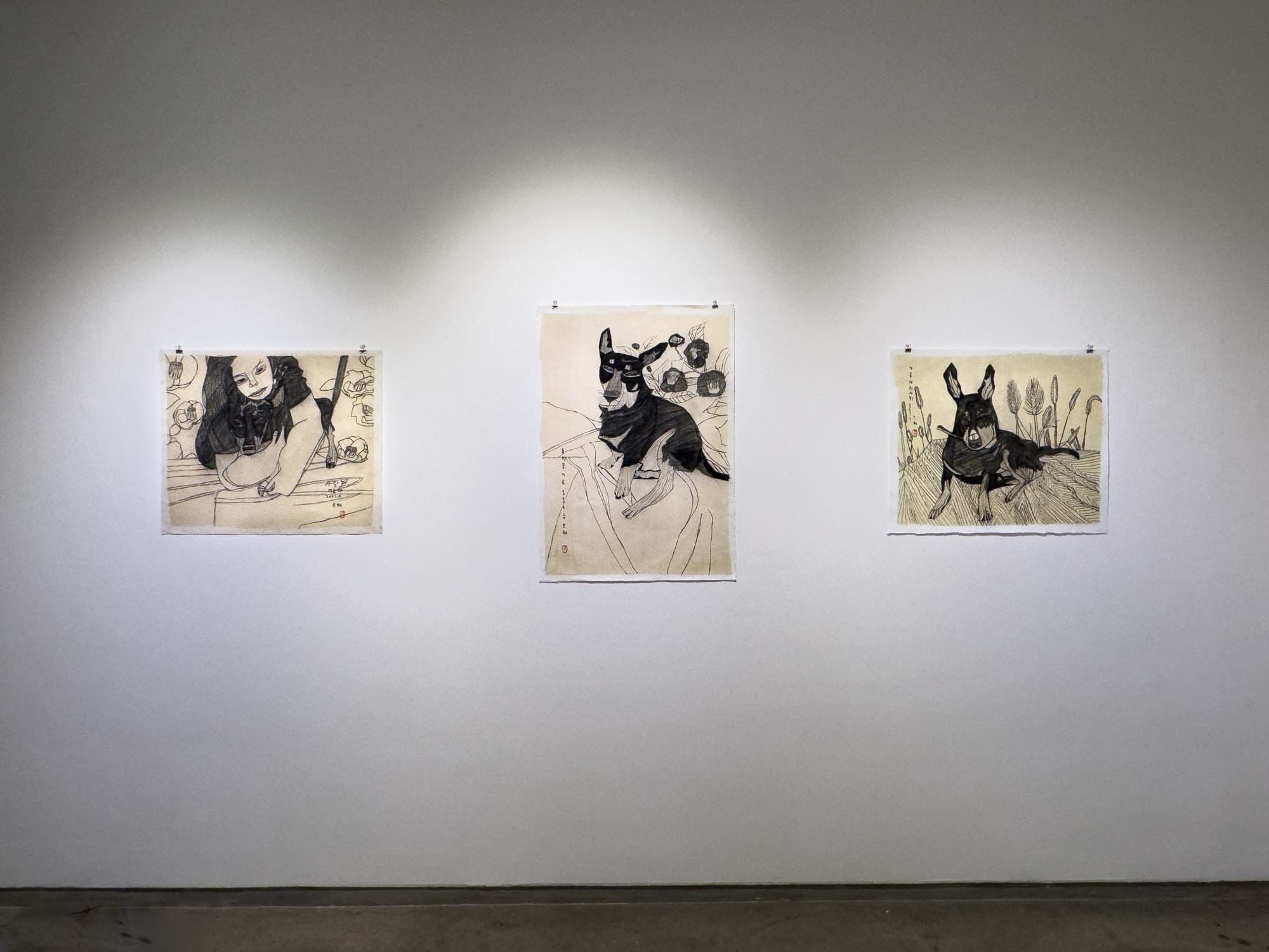 Jung Eun Hye: My Dog, Jiro