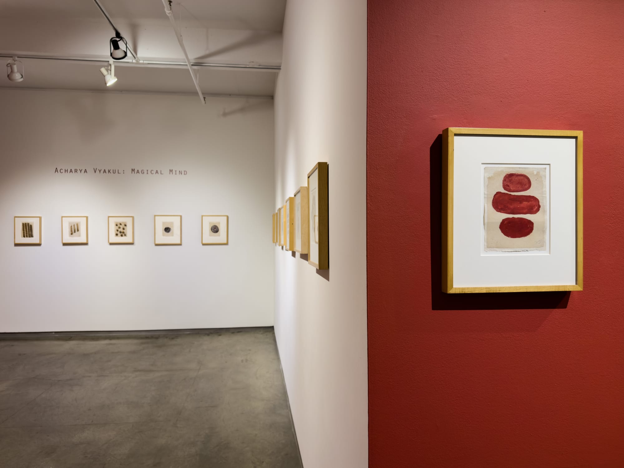 Acharya Vyakul: Magical Mind