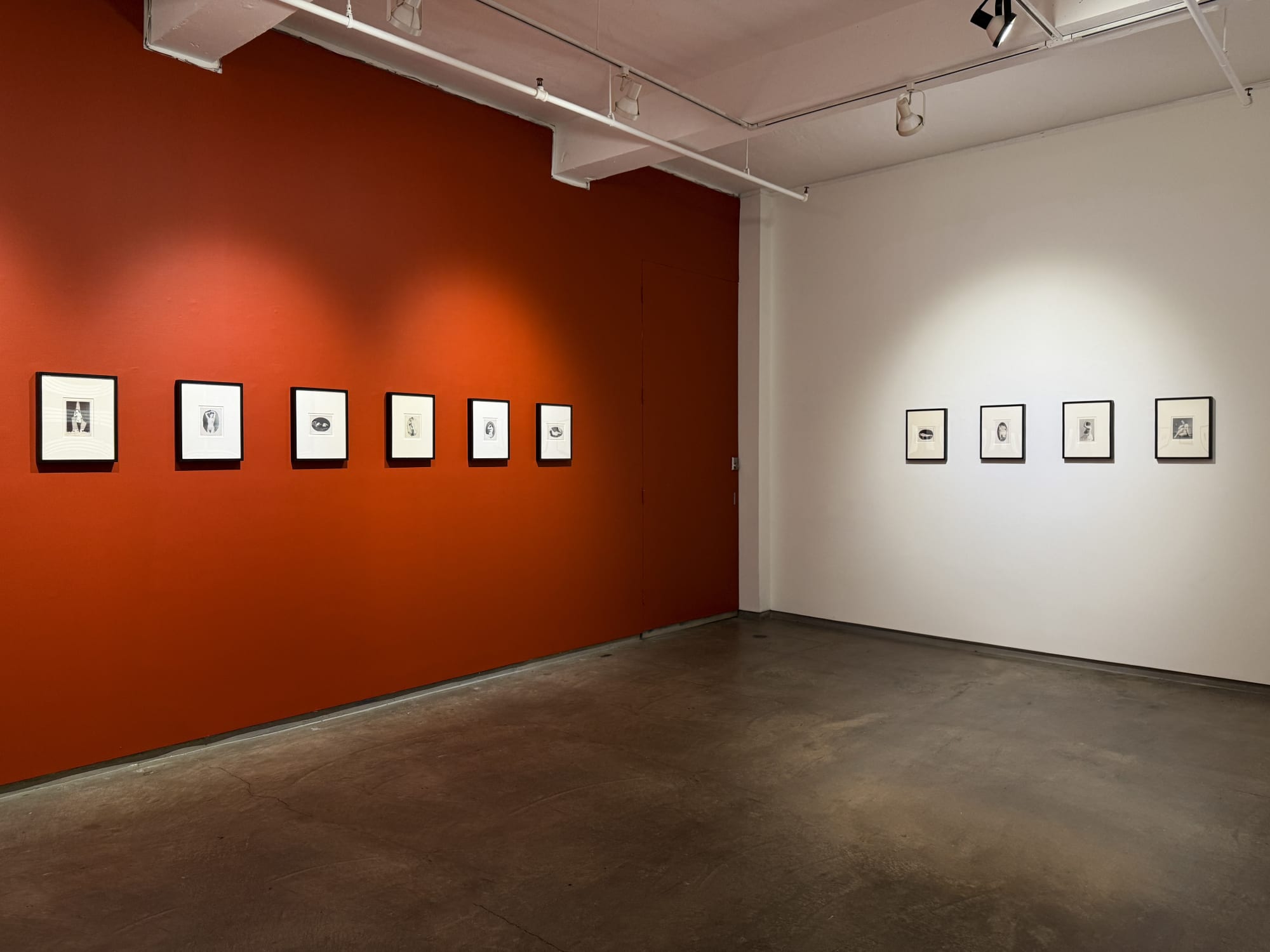 Private: The Photographs of William Goldman