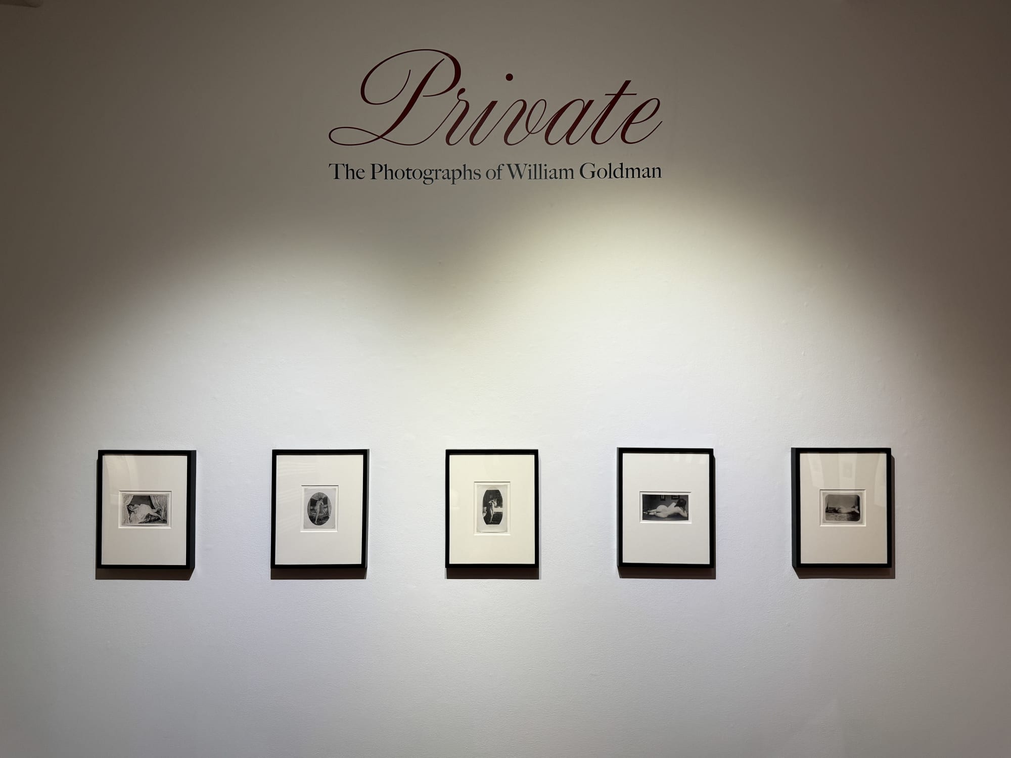 Private: The Photographs of William Goldman