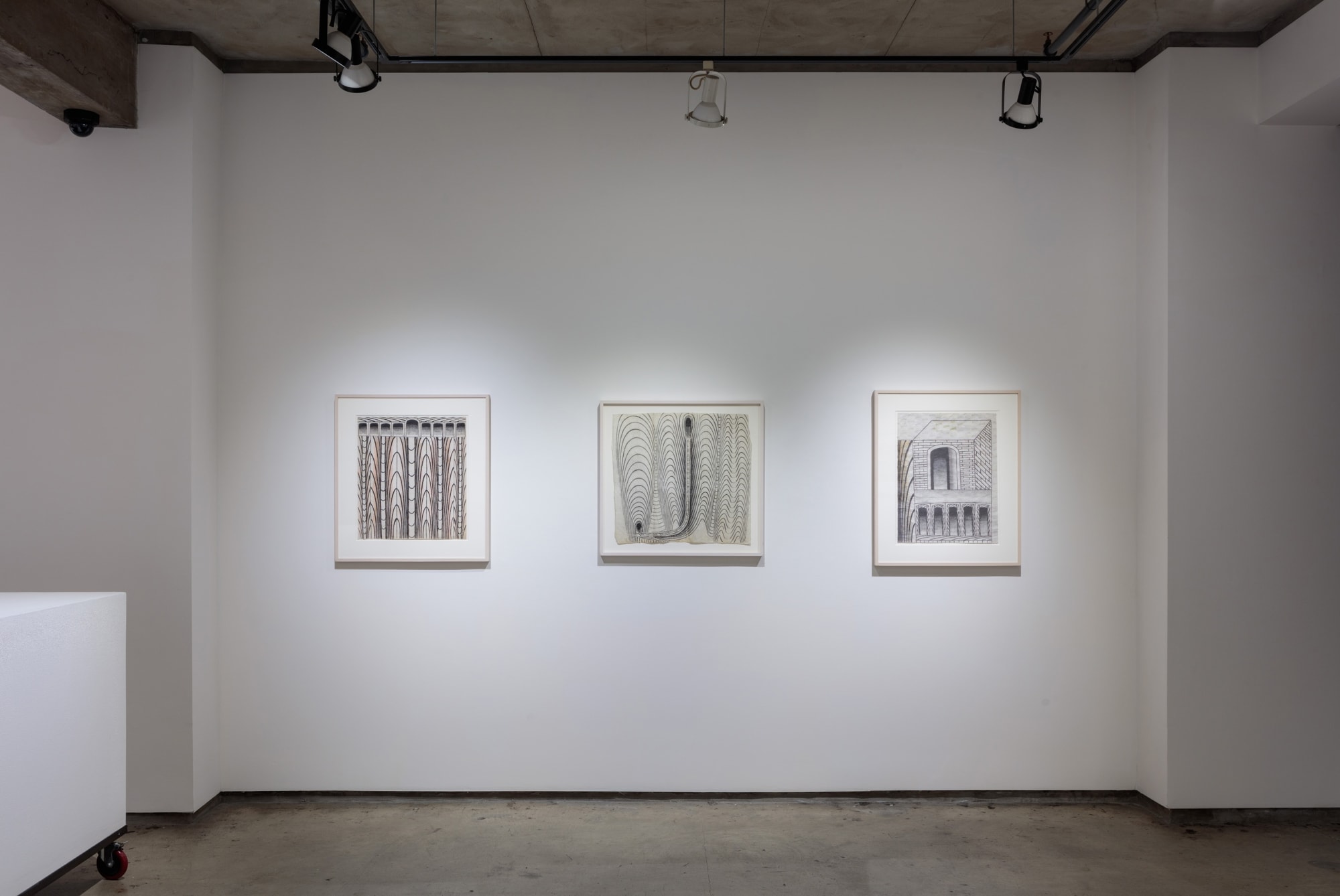 Martín Ramírez...A Journey