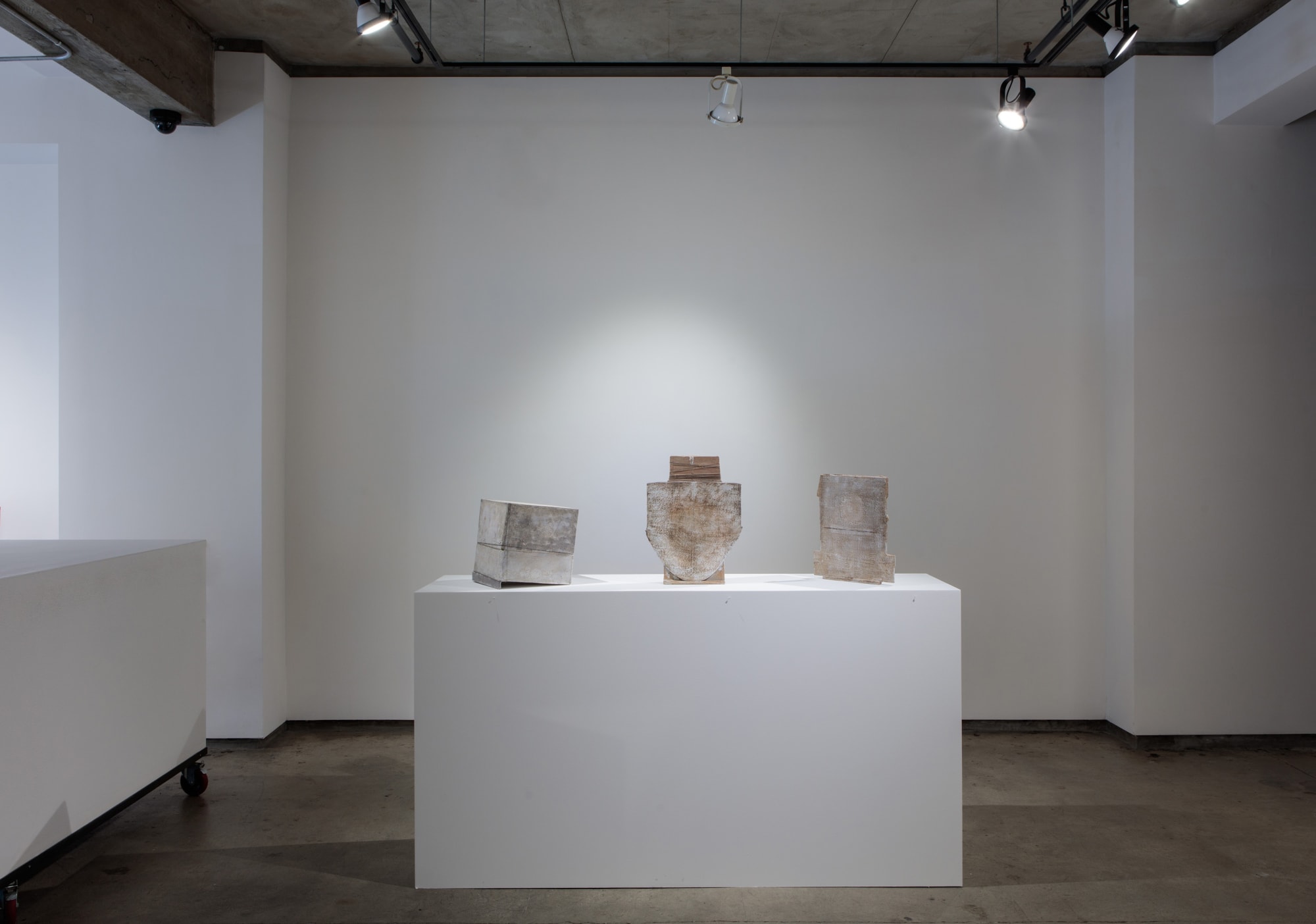 Toni Ross: The Presence of Absence