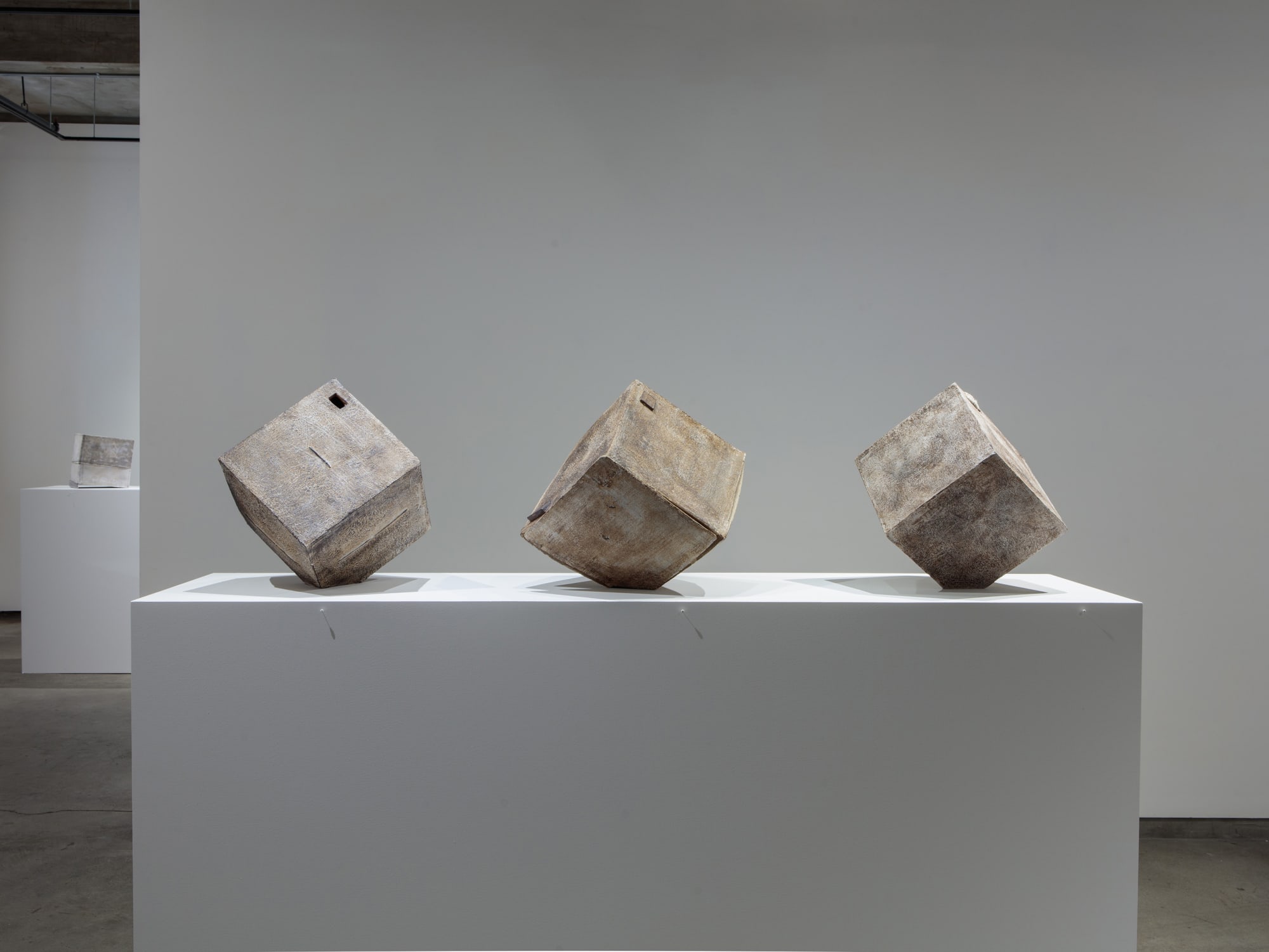 Toni Ross: The Presence of Absence