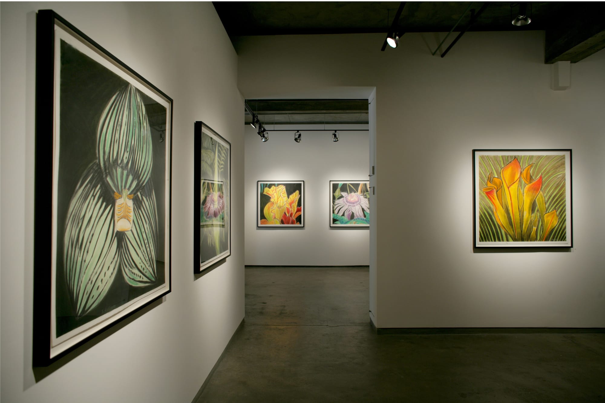 Justin Canha: Carnivorous