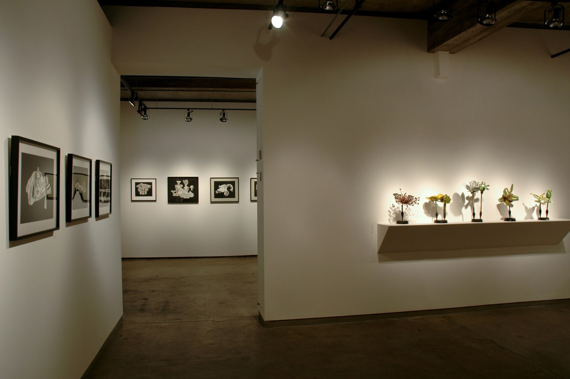 Frederick Sommer: Choice and Chance, Structure Art and Nature