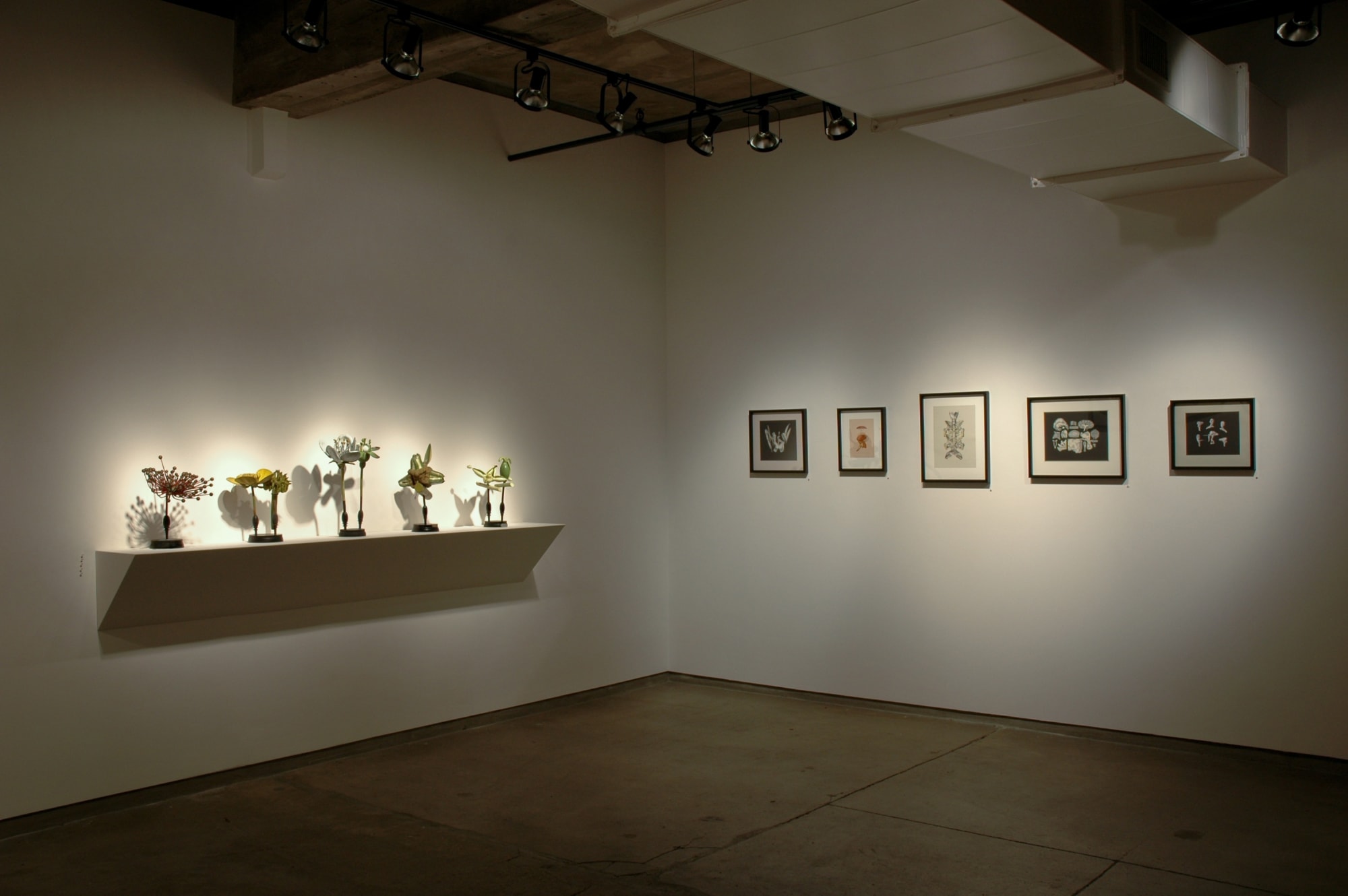 Frederick Sommer: Choice and Chance, Structure Art and Nature