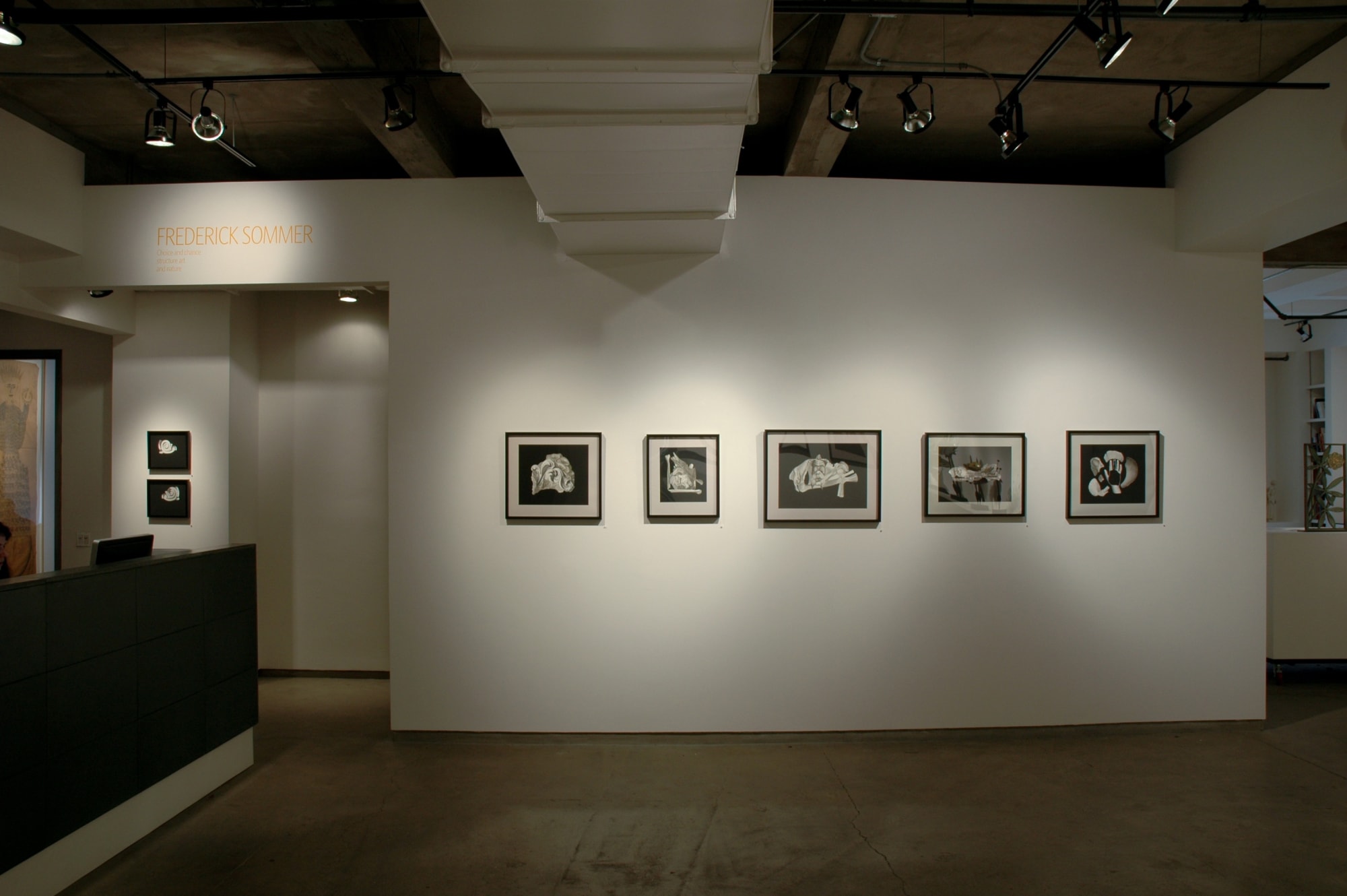 Frederick Sommer: Choice and Chance, Structure Art and Nature