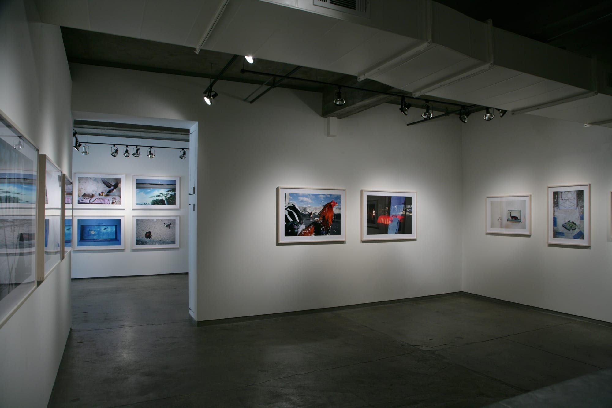 Rebecca Norris Webb and Alex Webb: Violet Isle